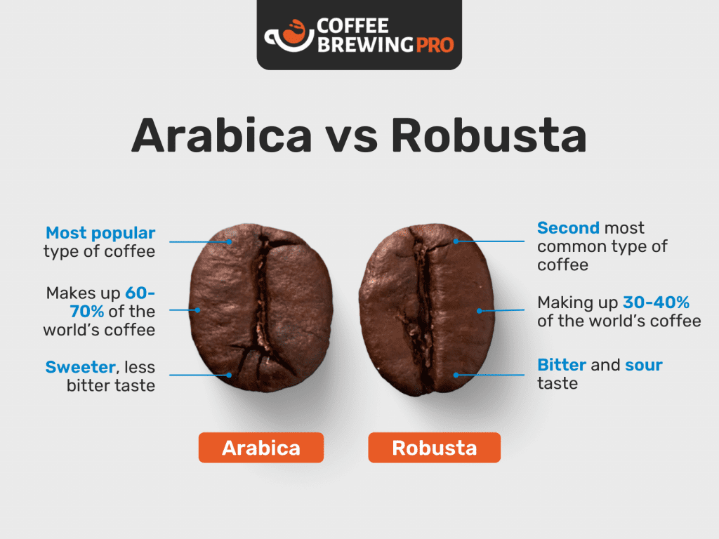 11 điểm phân biệt giữa 2 dòng cafe Arabica và Robusta