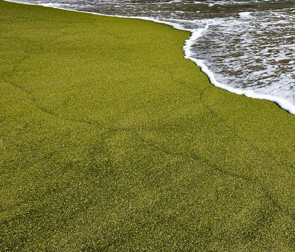 green-sand-2.jpg