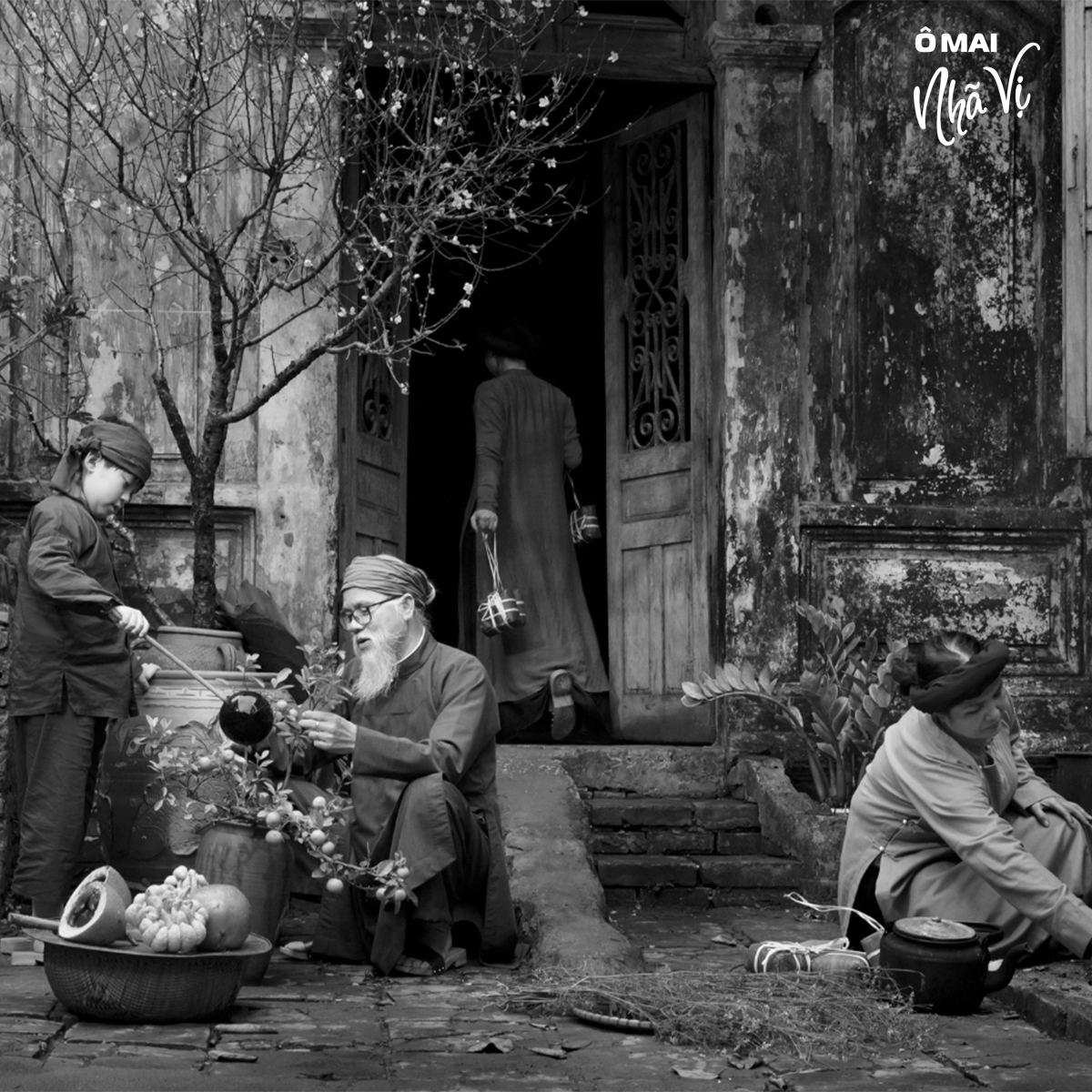 05-o-mai-vi-tet-co-truyen.jpg