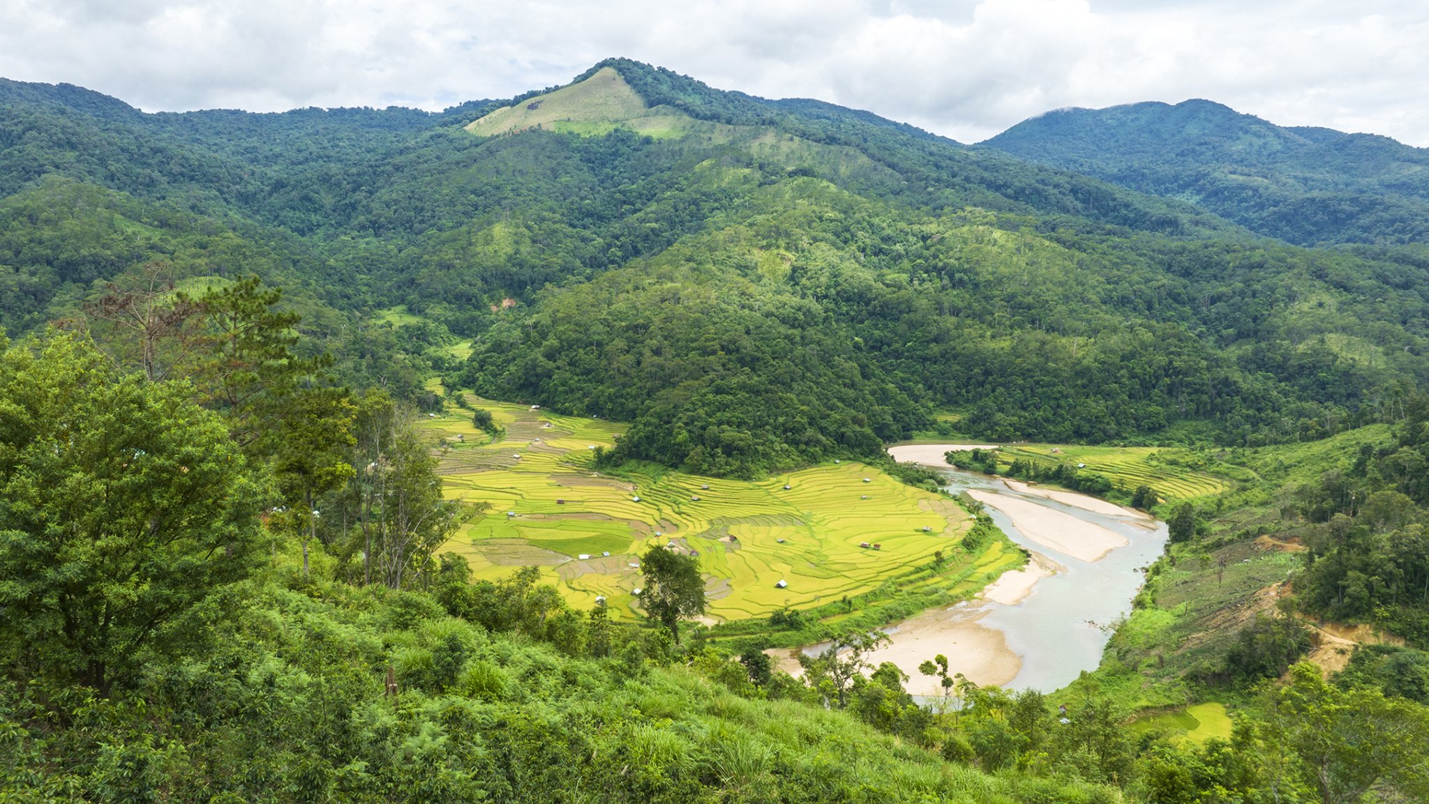 062142h15 Đồng ruộng giữa cánh rừng.jpg