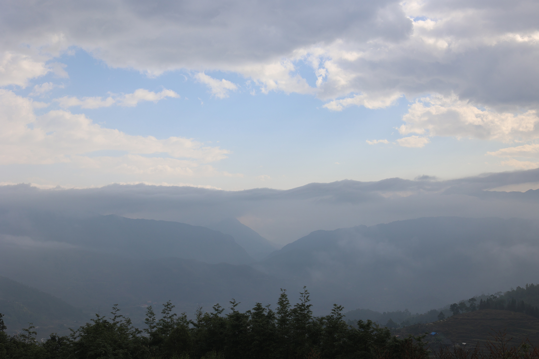 090A0801.jpg