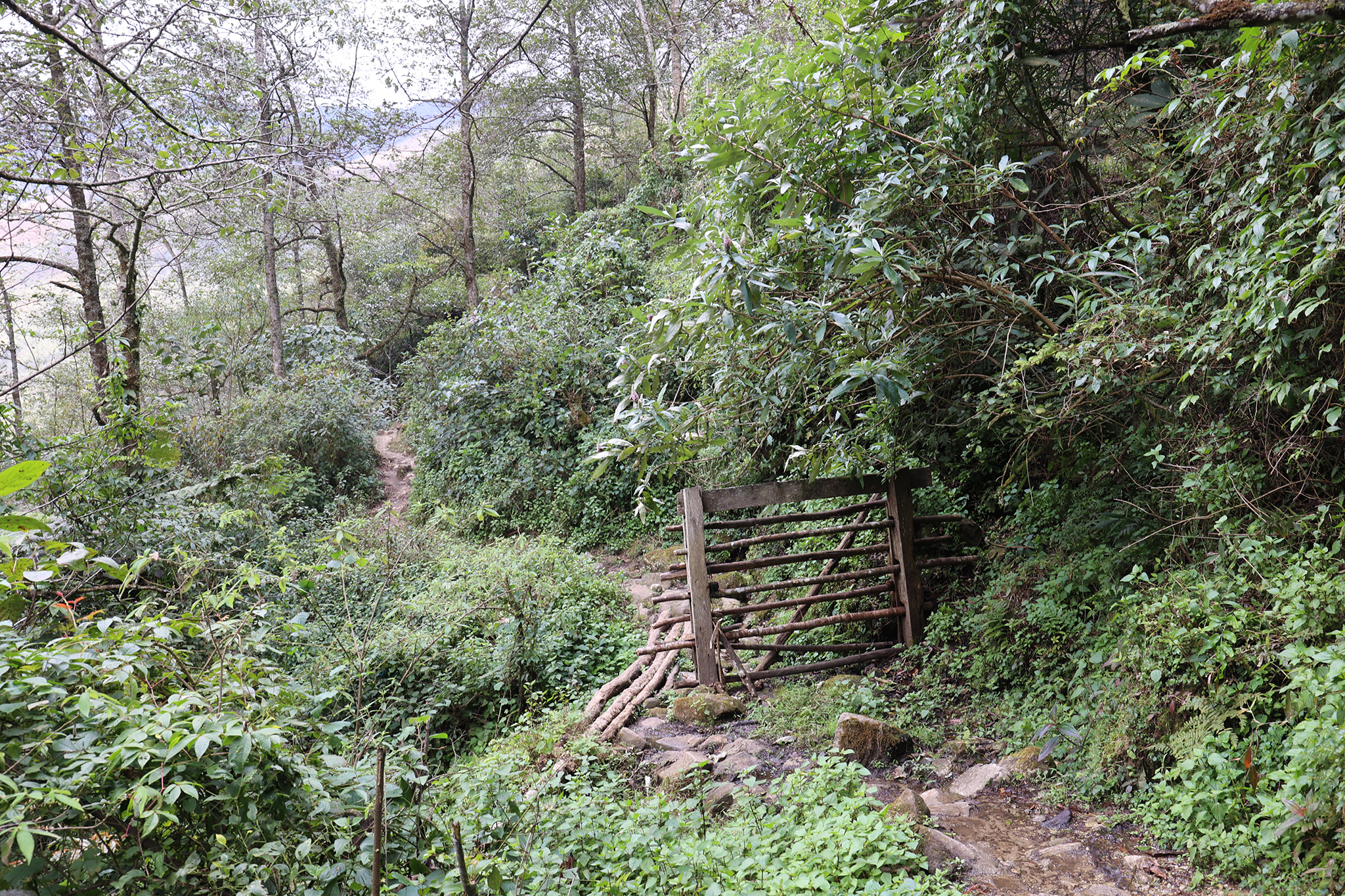 090A0809.jpg