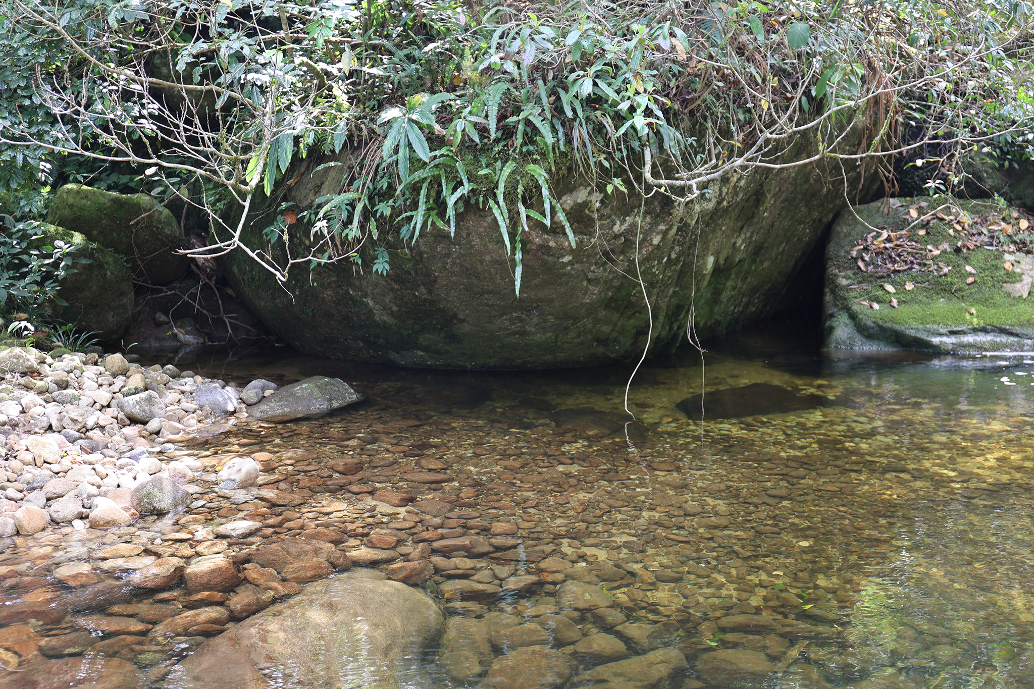 090A0837.jpg
