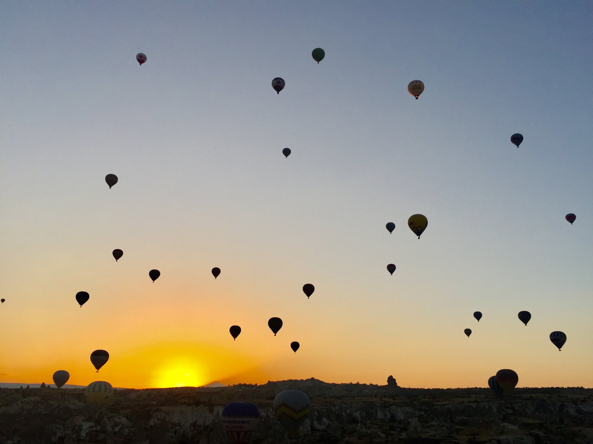 0E96573F-4B2E-4164-BE8A-79DA0CC8072F.jpeg