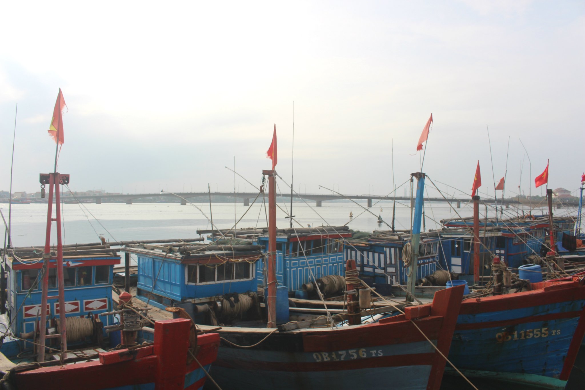 1.IMG_0929.jpg
