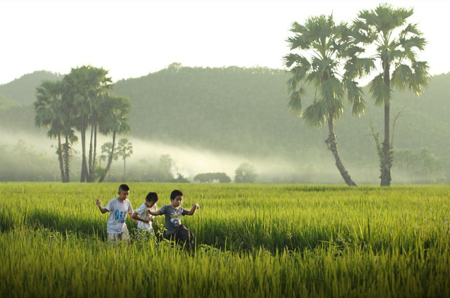 1563331030_hinh-anh-thanh-binh-gan-gui-noi-vung-nong-thon-campuchia.jpg