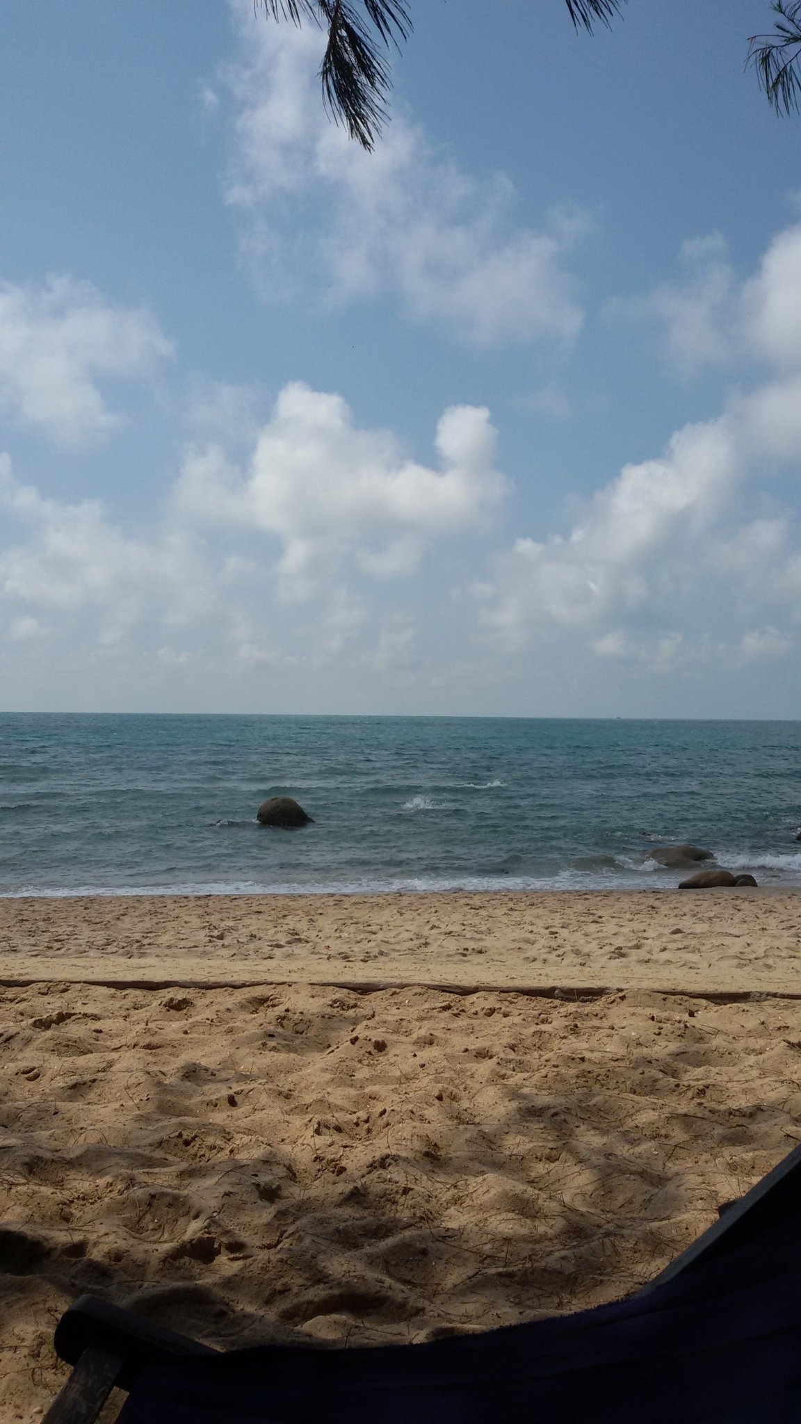 20160320_095911.jpg
