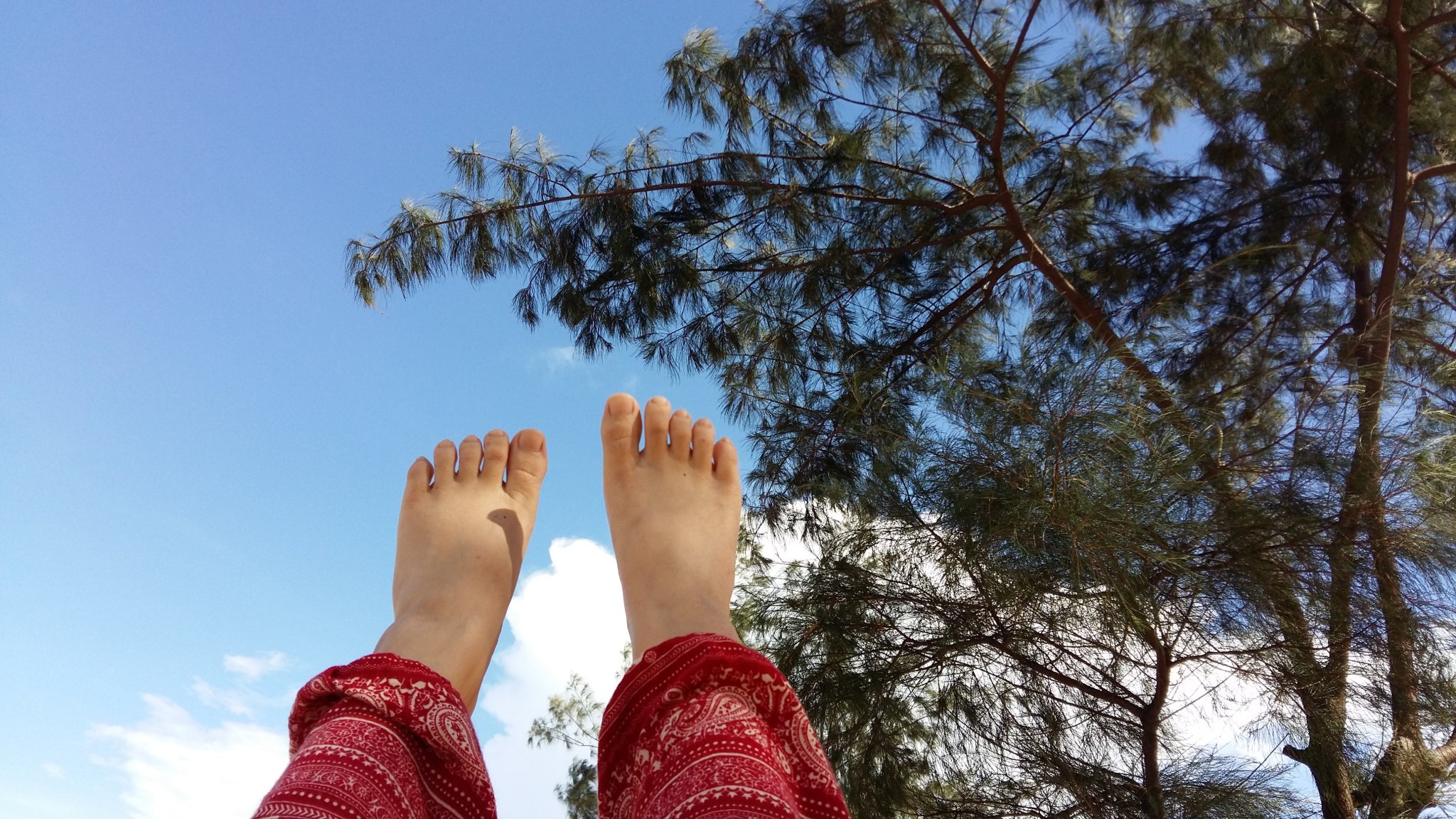 20160914_141926.jpg