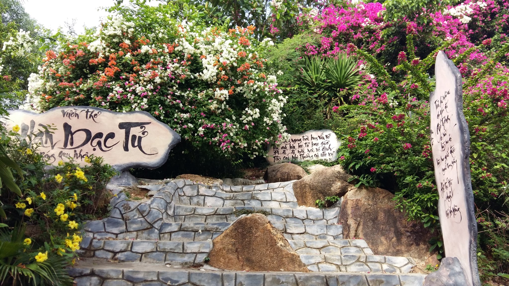 20160929_075614.jpg