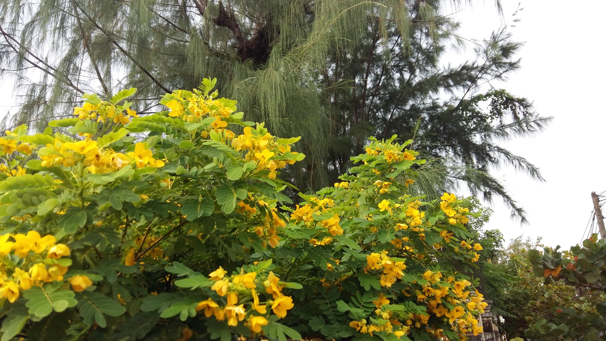 20160930_074452.jpg