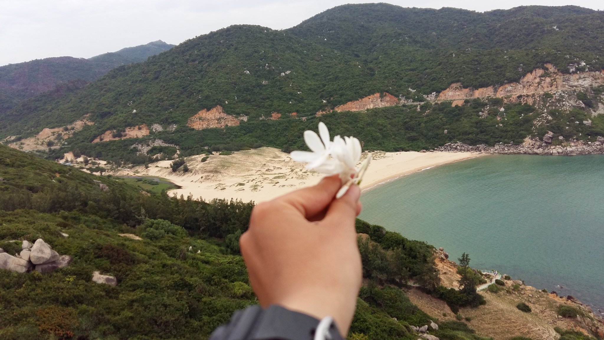 20160930_102728.jpg