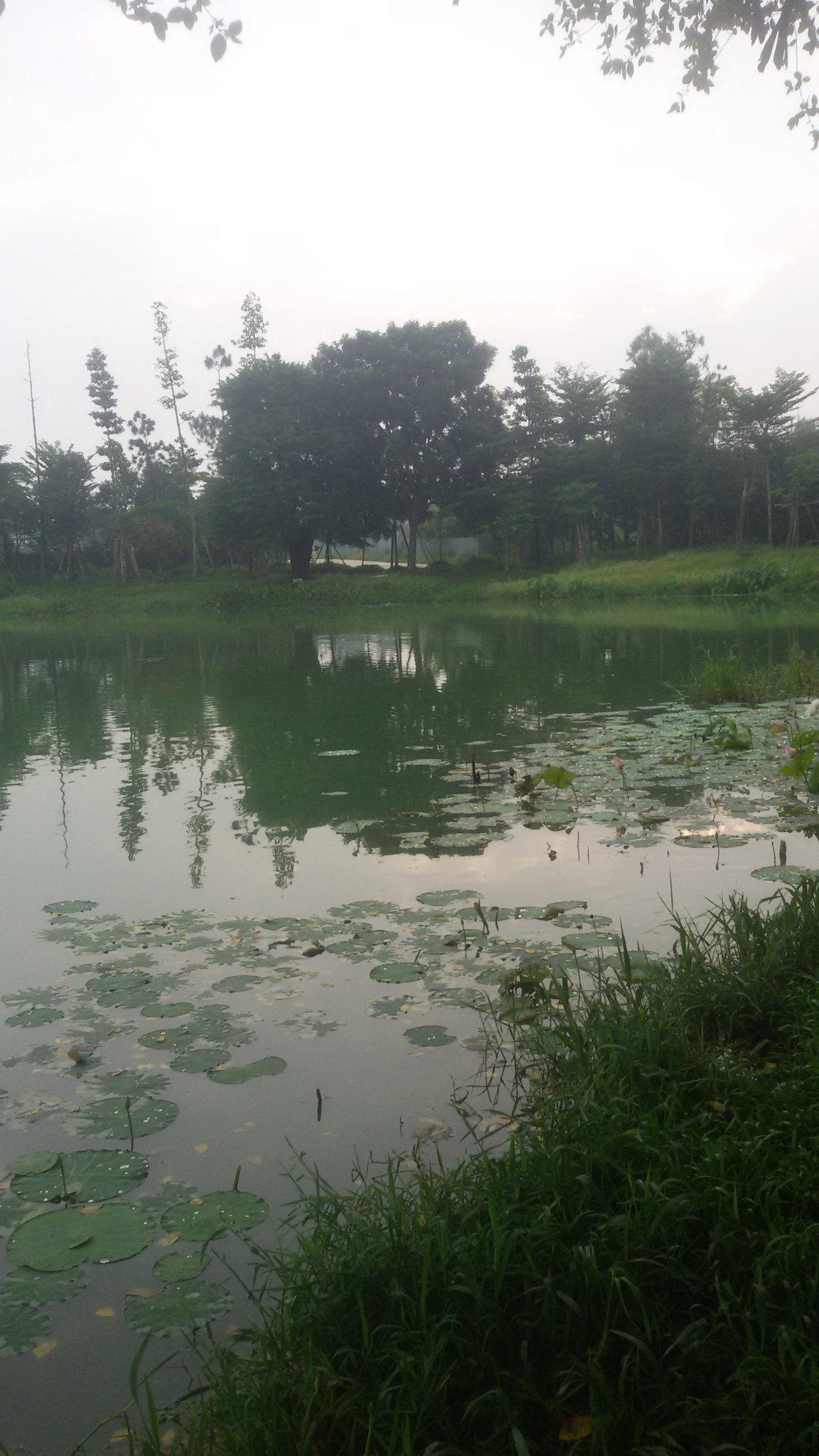 20170706_061501.jpg