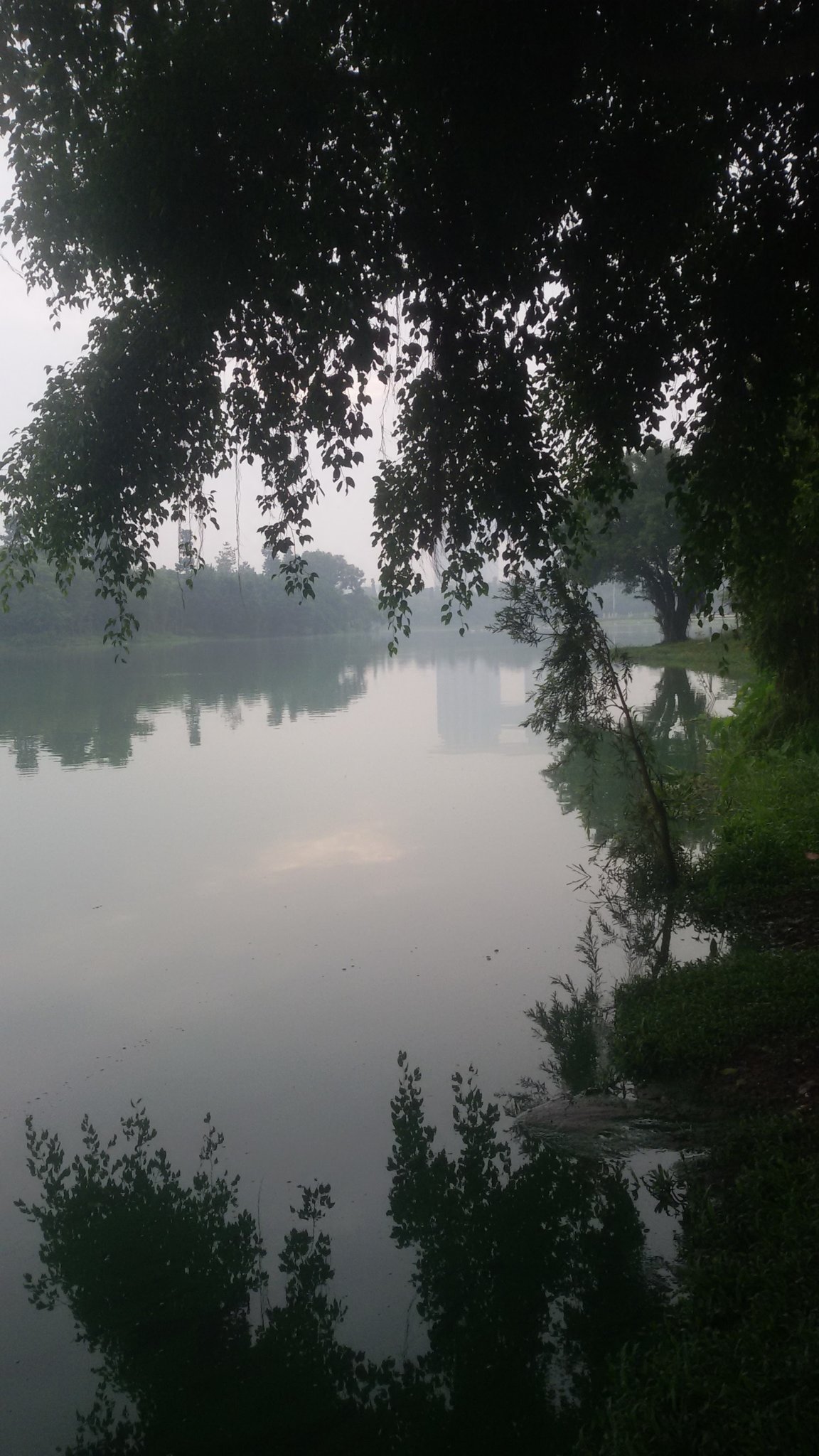 20170706_062038.jpg