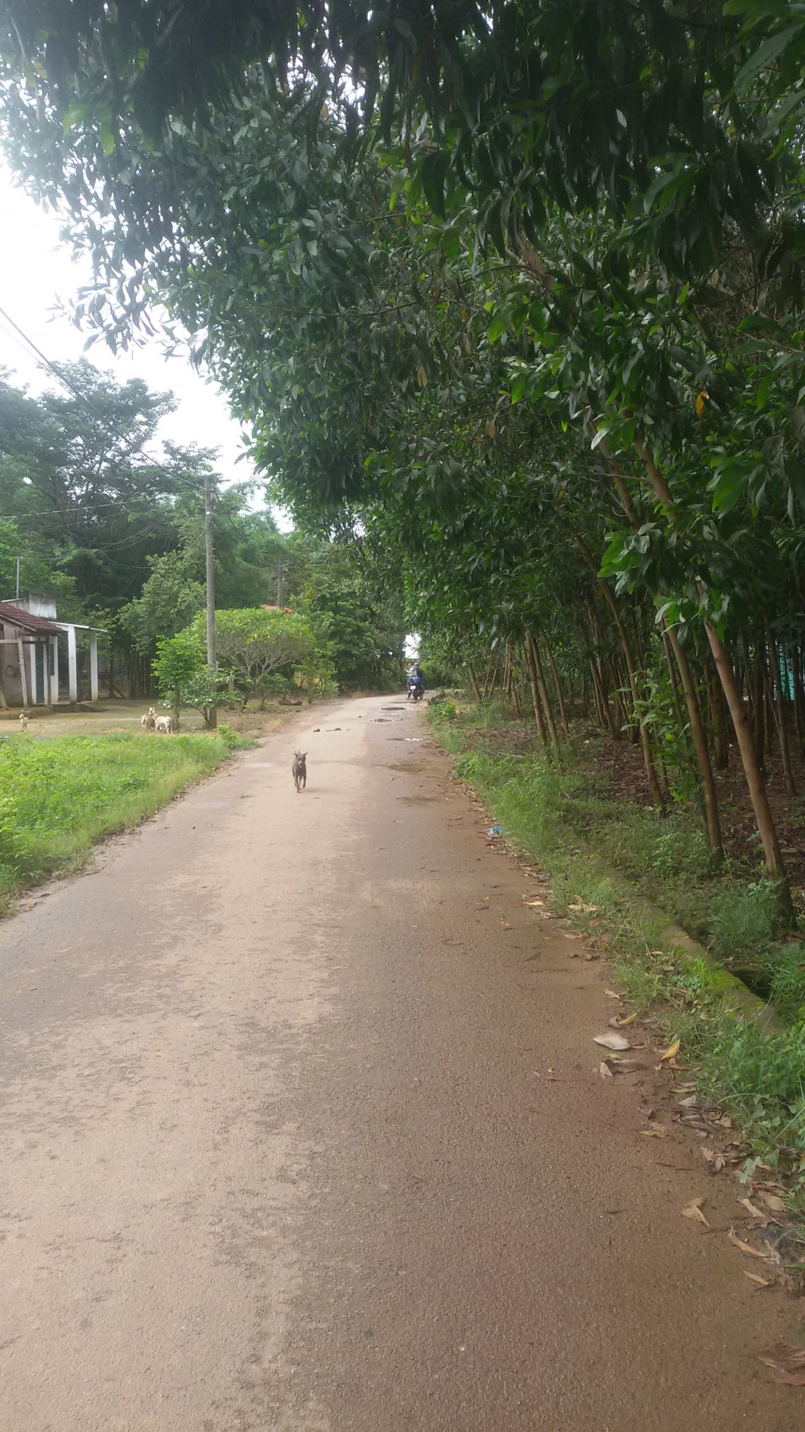 20170721_091904.jpg