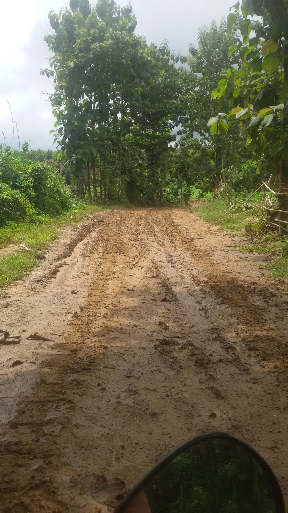 20170721_102719.jpg