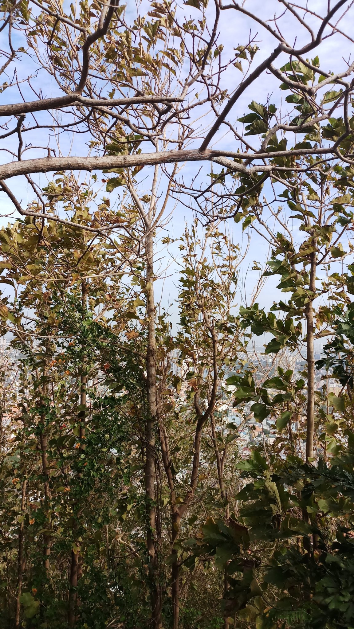 20180101_084213.jpg