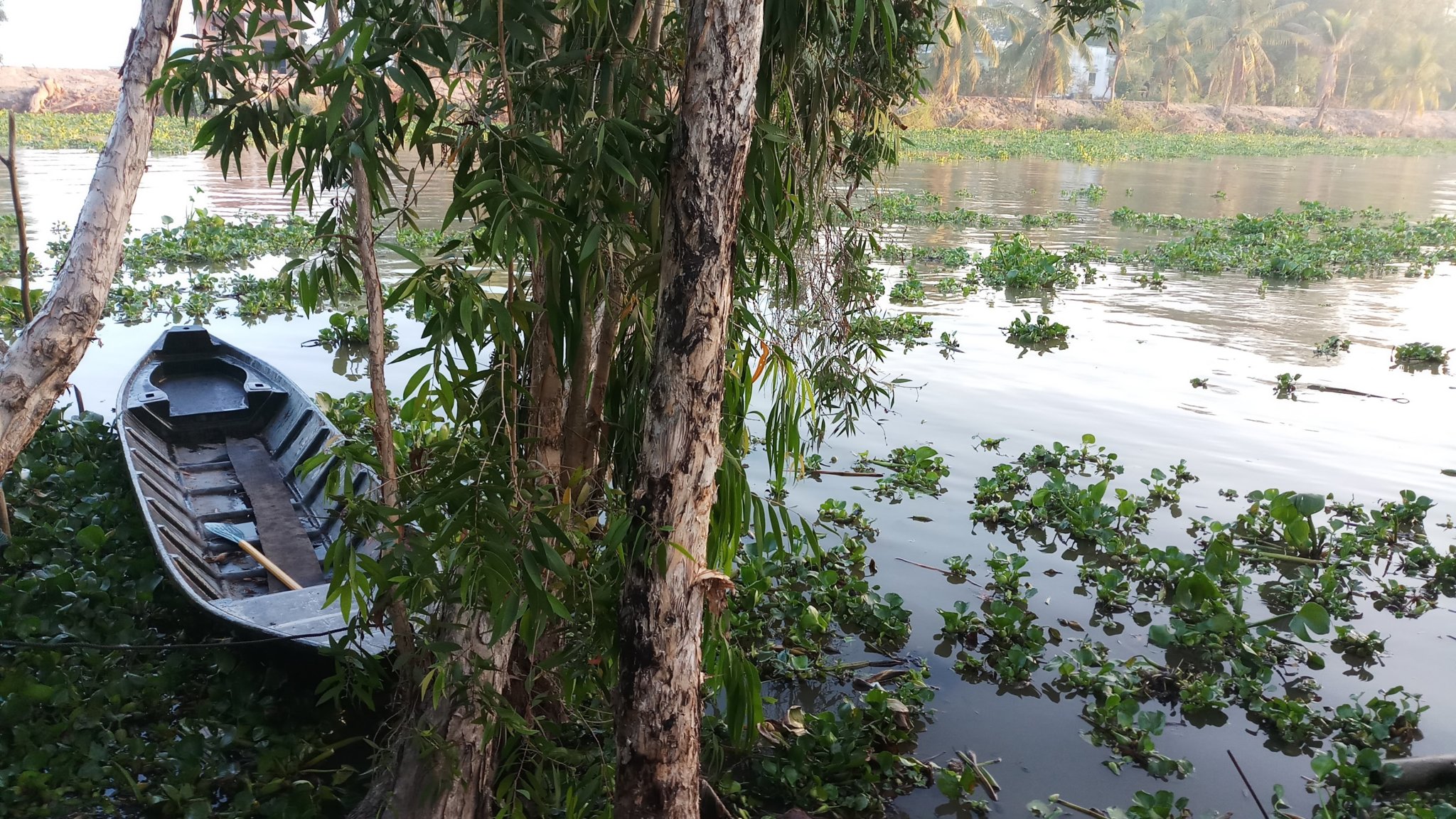 20180304_063334.jpg