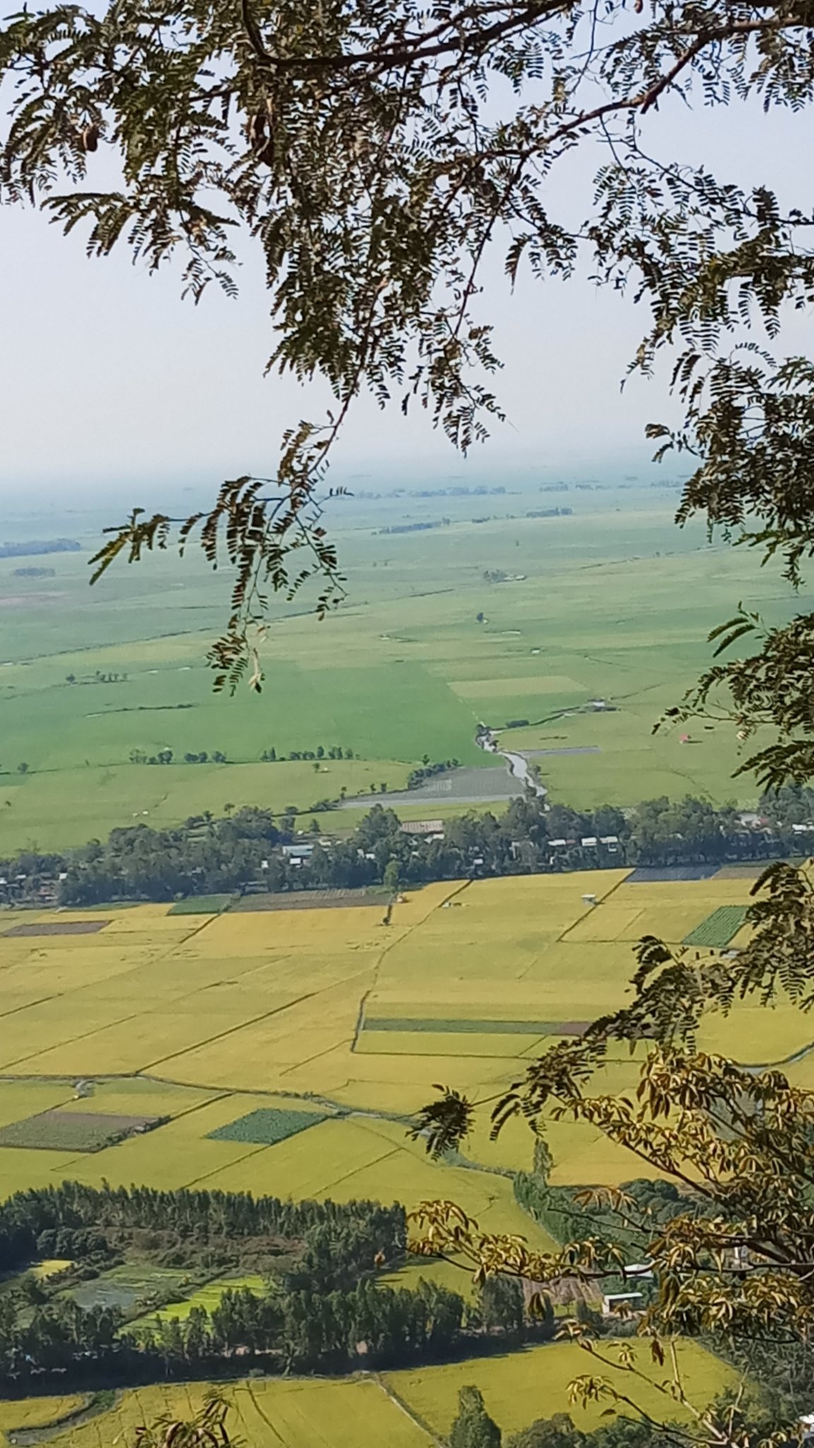 20180304_152101.jpg