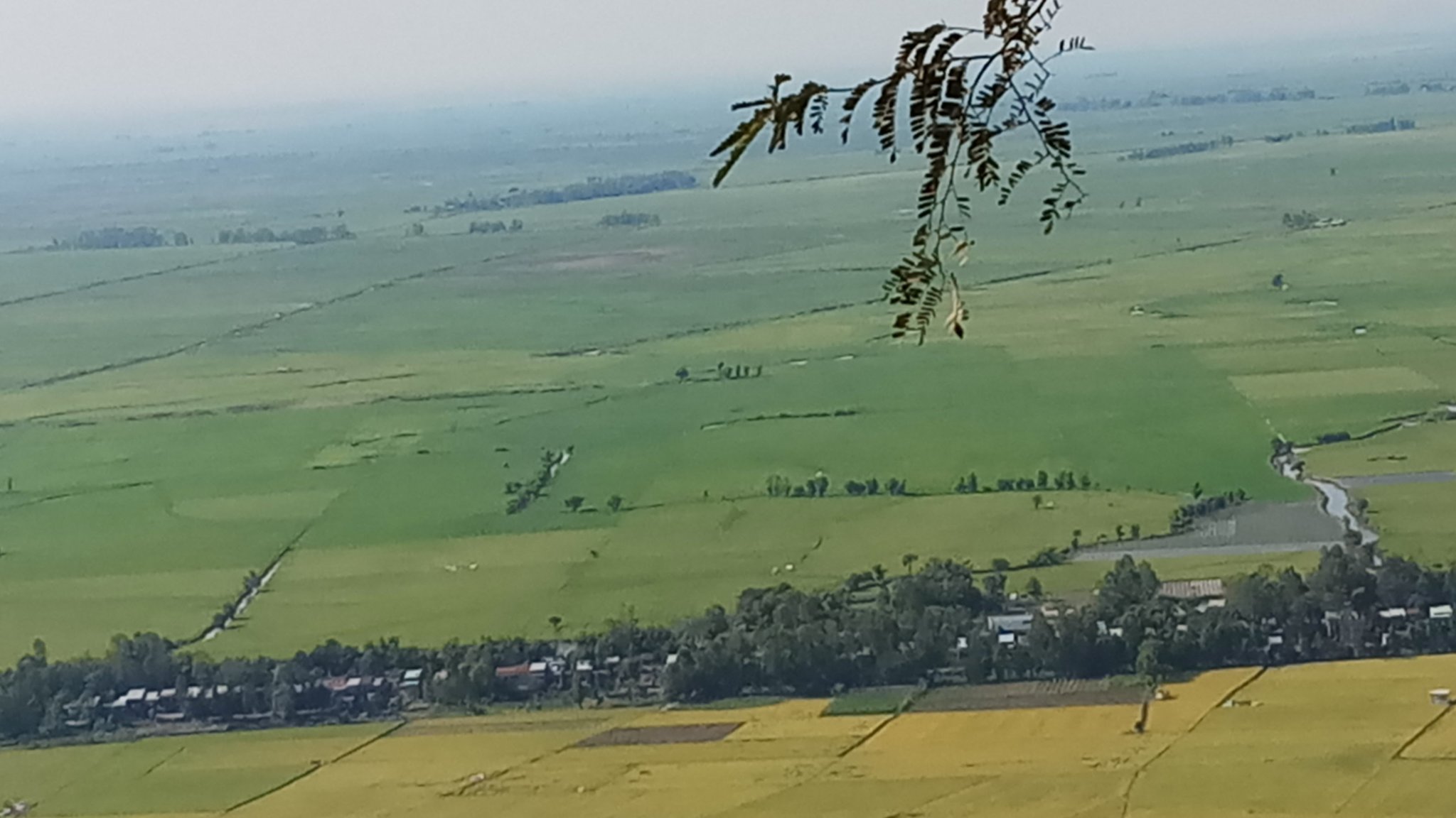 20180304_152108.jpg