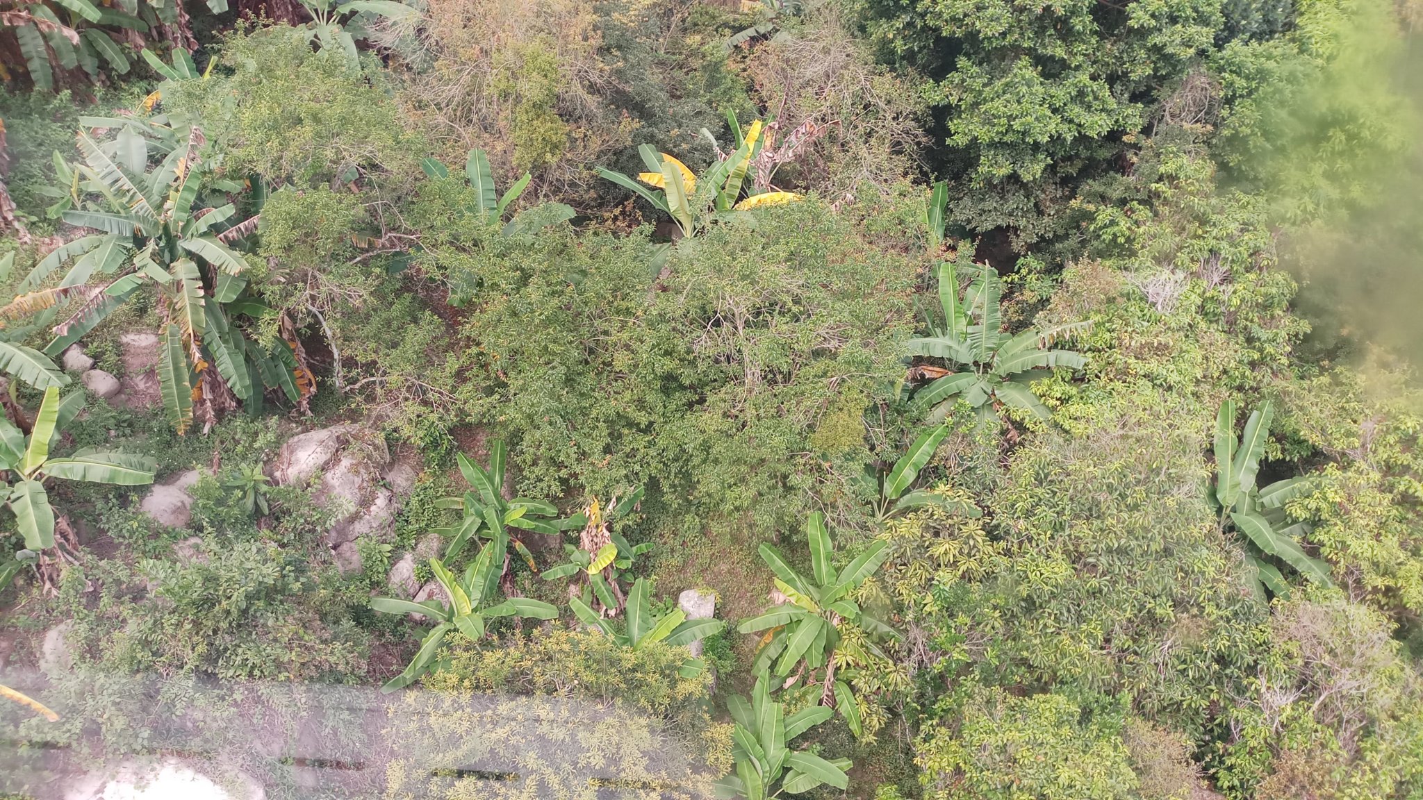 20180305_092724.jpg