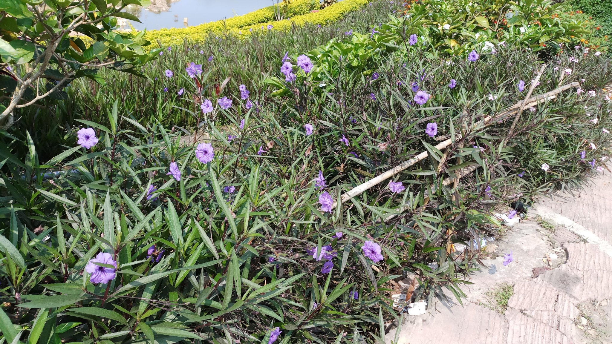 20180305_094815.jpg