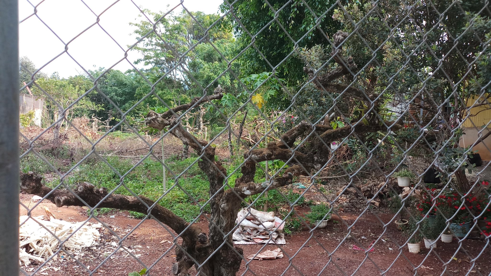 20180326_151034.jpg