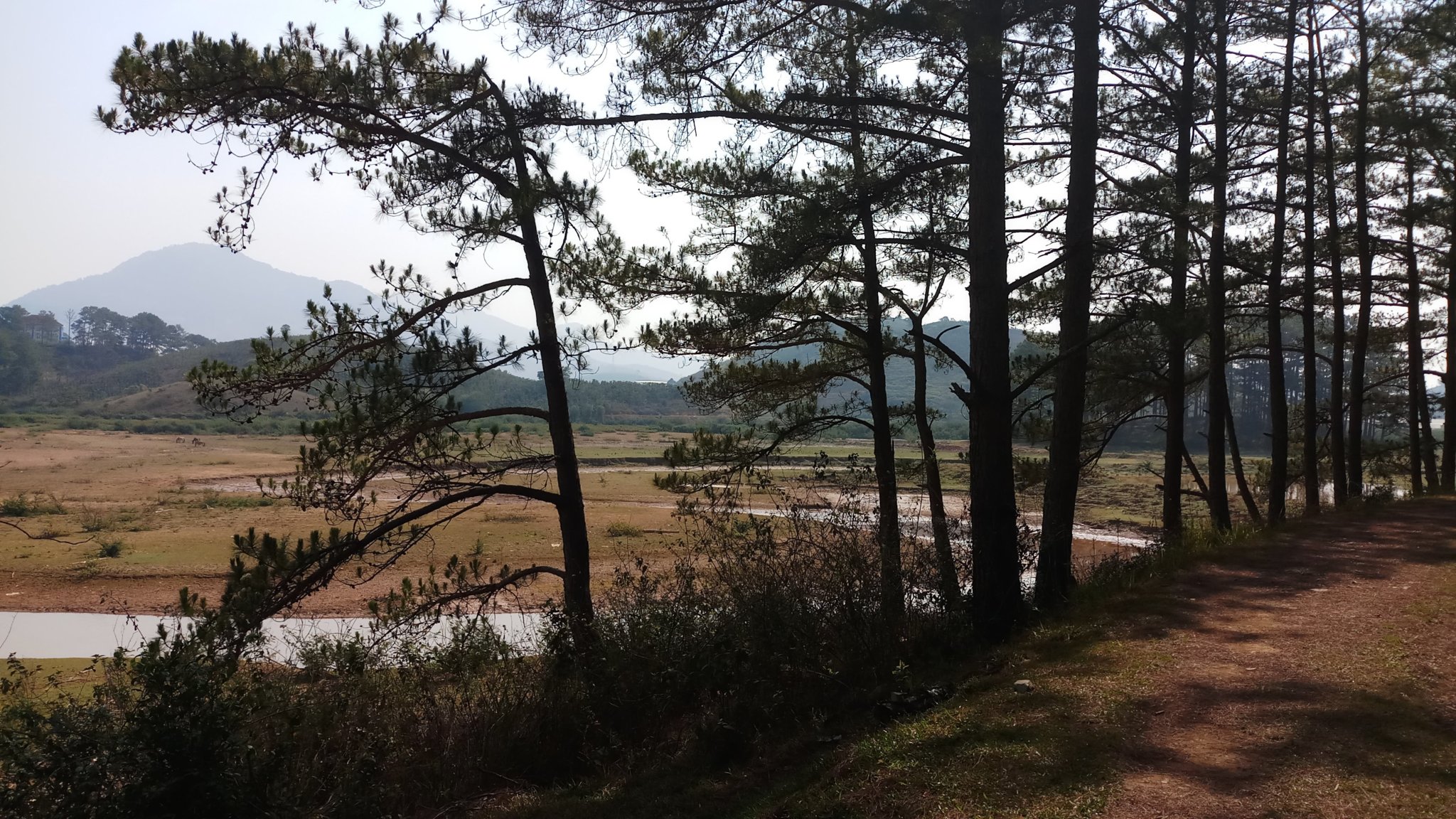20180327_085536.jpg