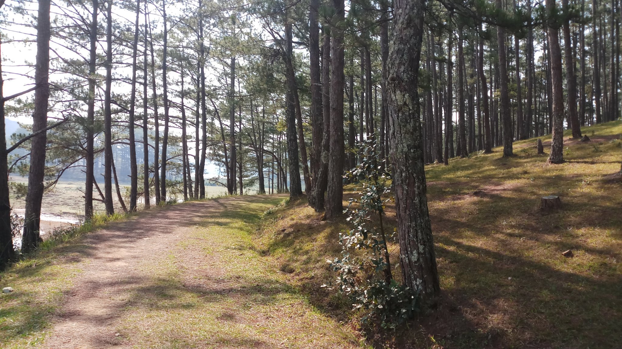 20180327_085539.jpg