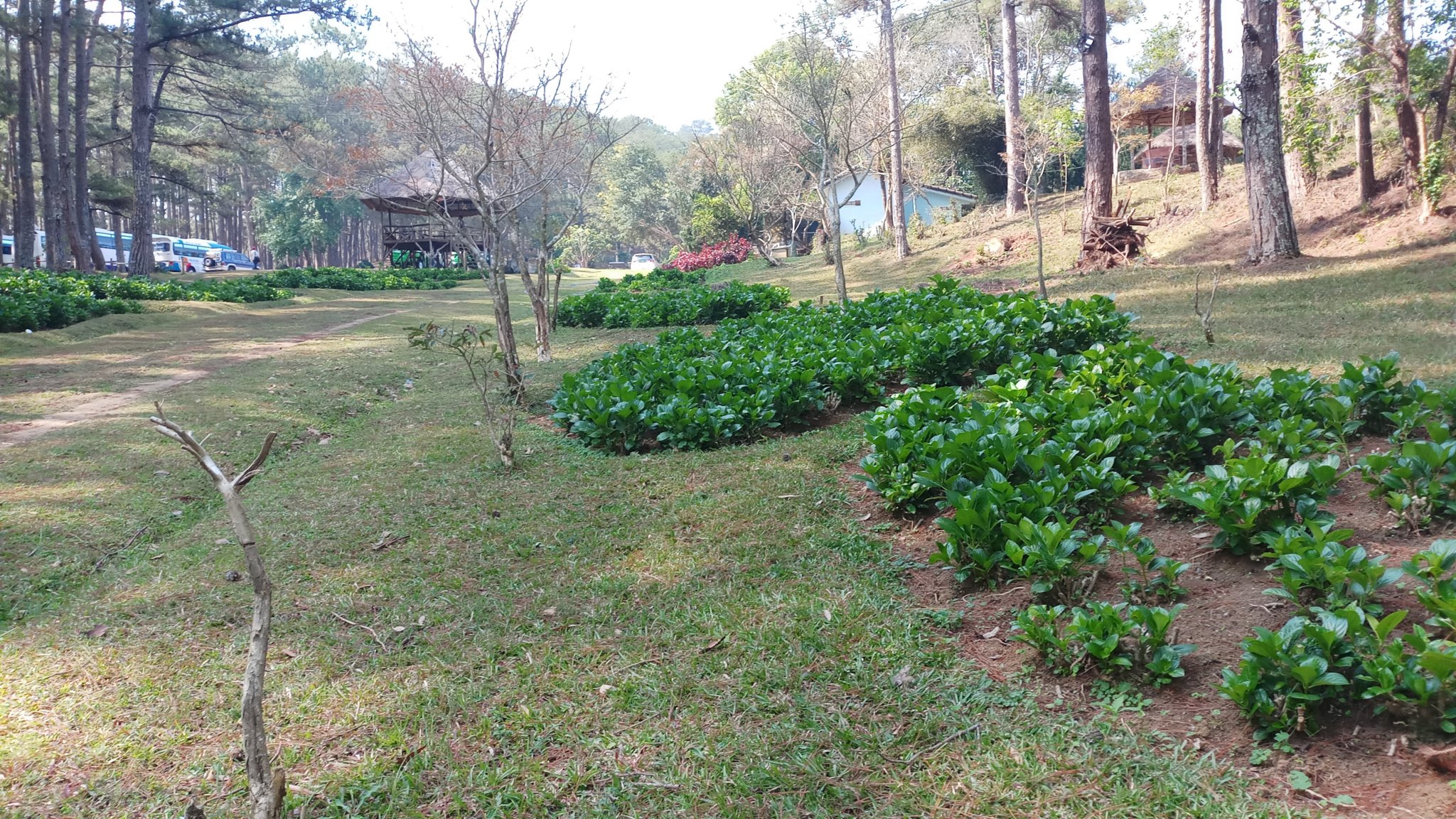 20180327_085939.jpg