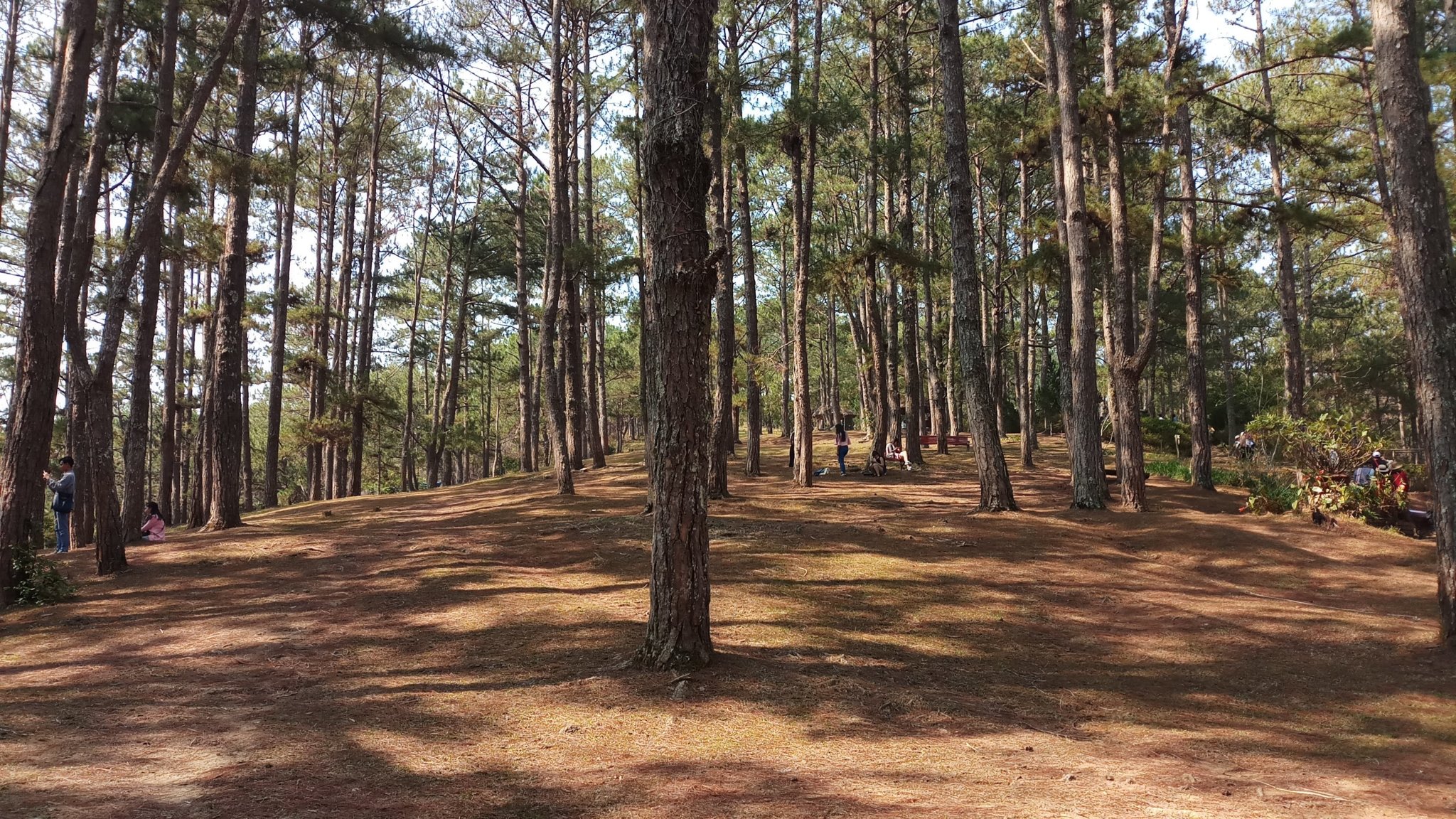 20180327_090911.jpg