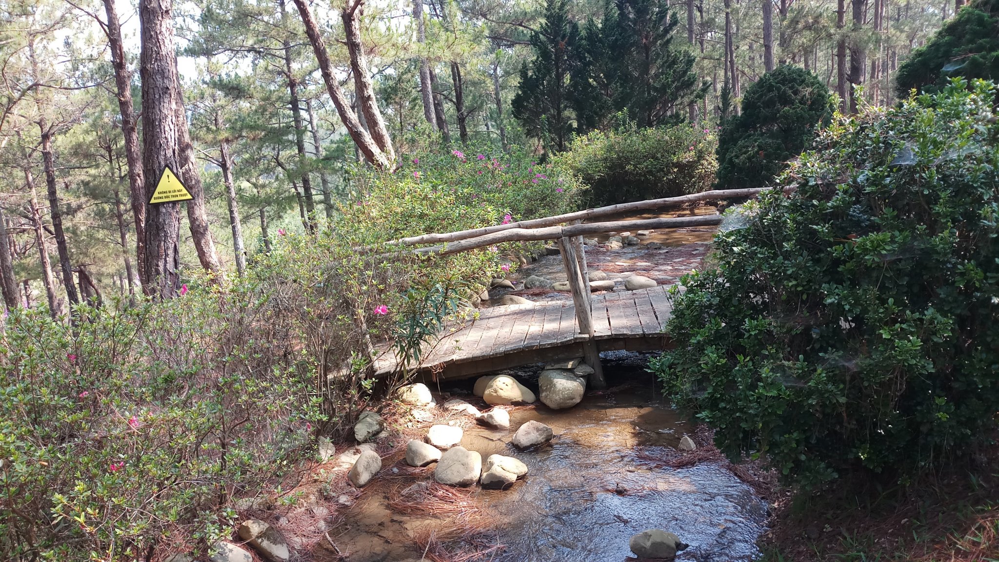 20180327_091332.jpg