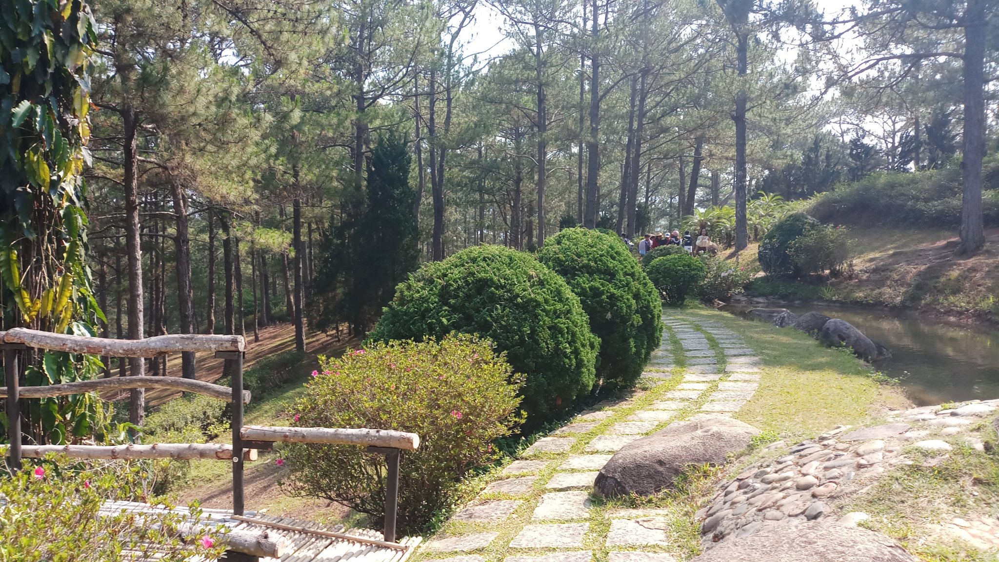 20180327_091455.jpg