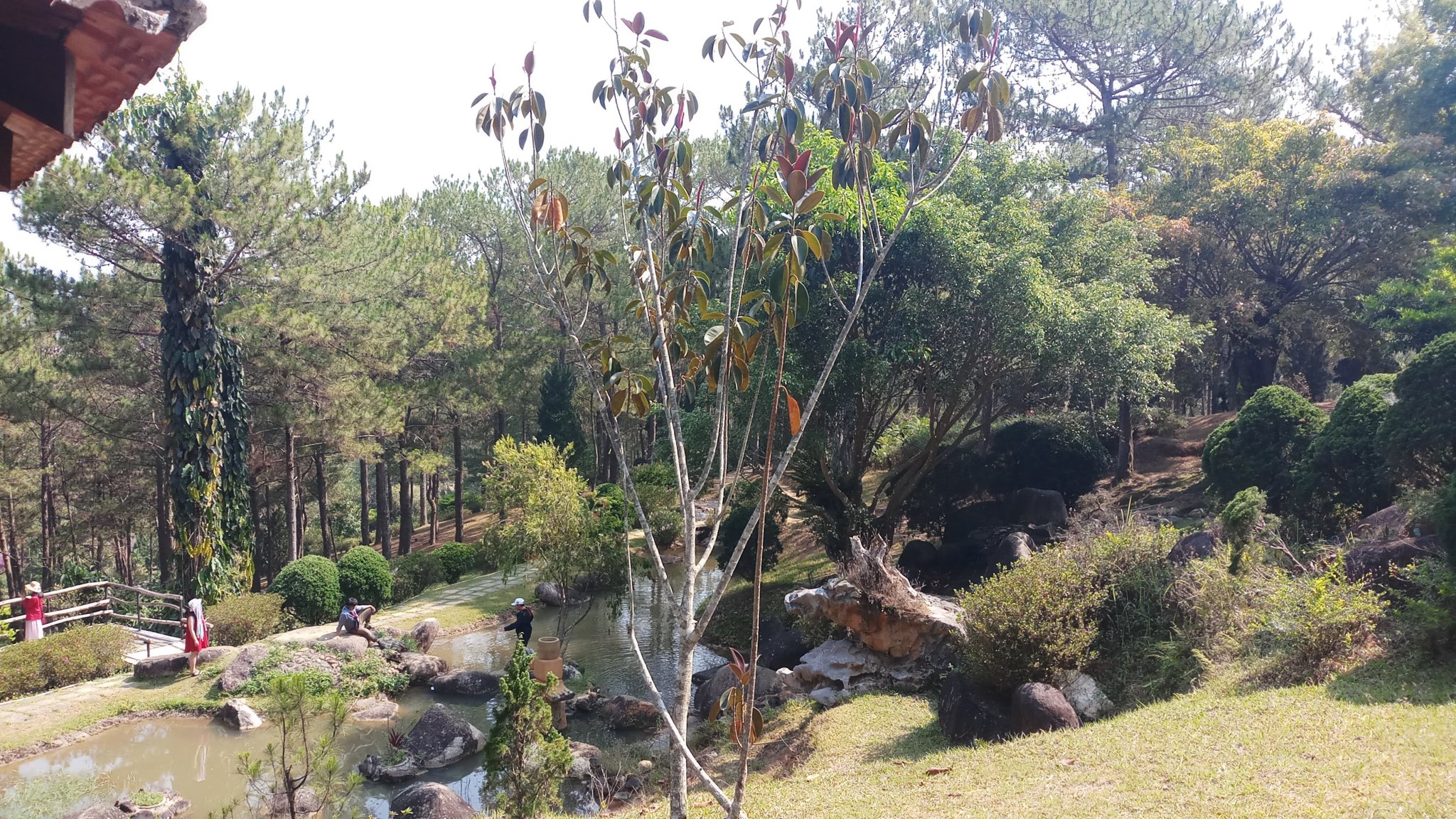 20180327_091723.jpg