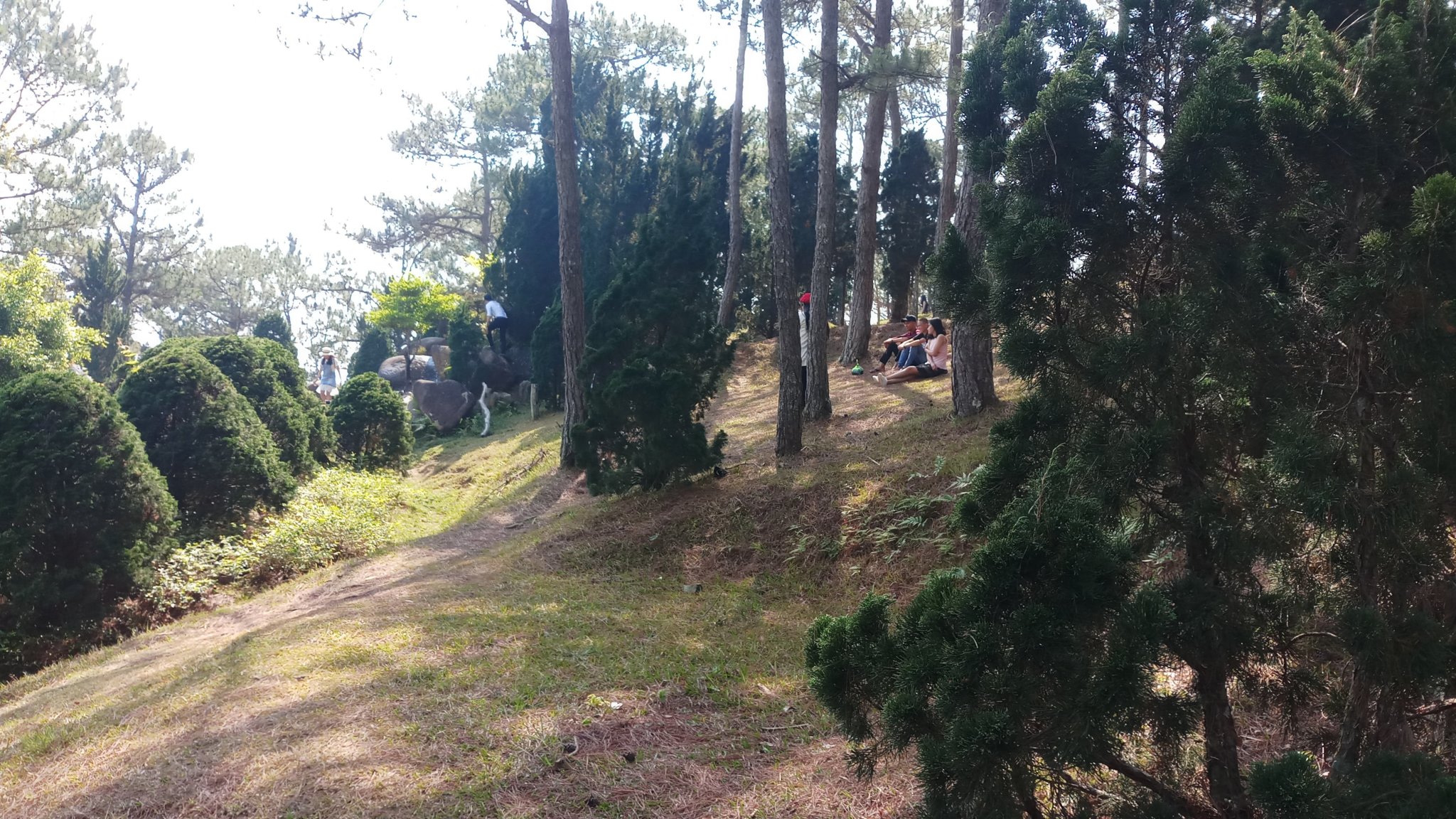 20180327_091744.jpg
