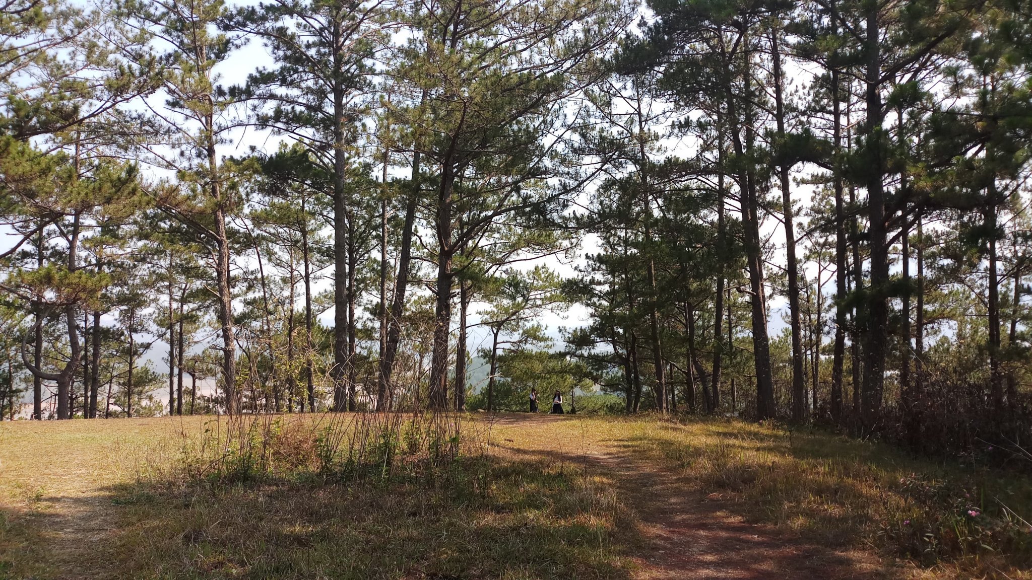 20180327_092117.jpg