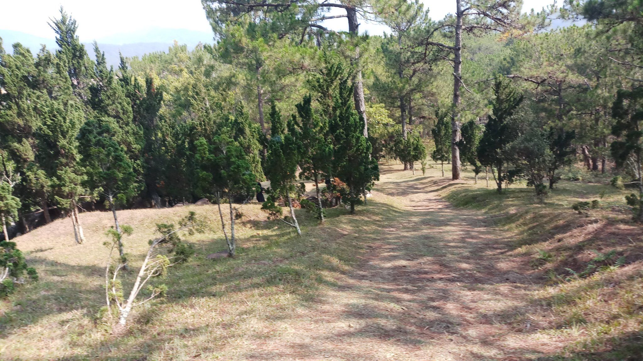 20180327_092313.jpg
