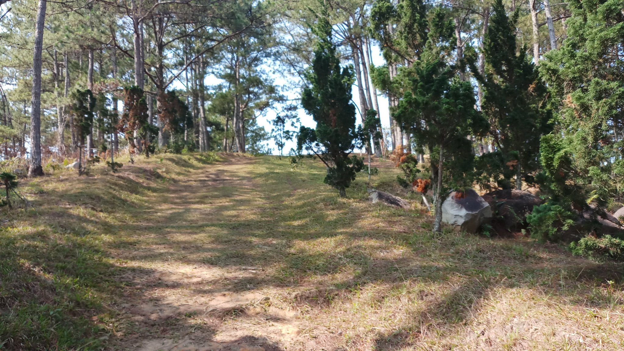 20180327_092400.jpg