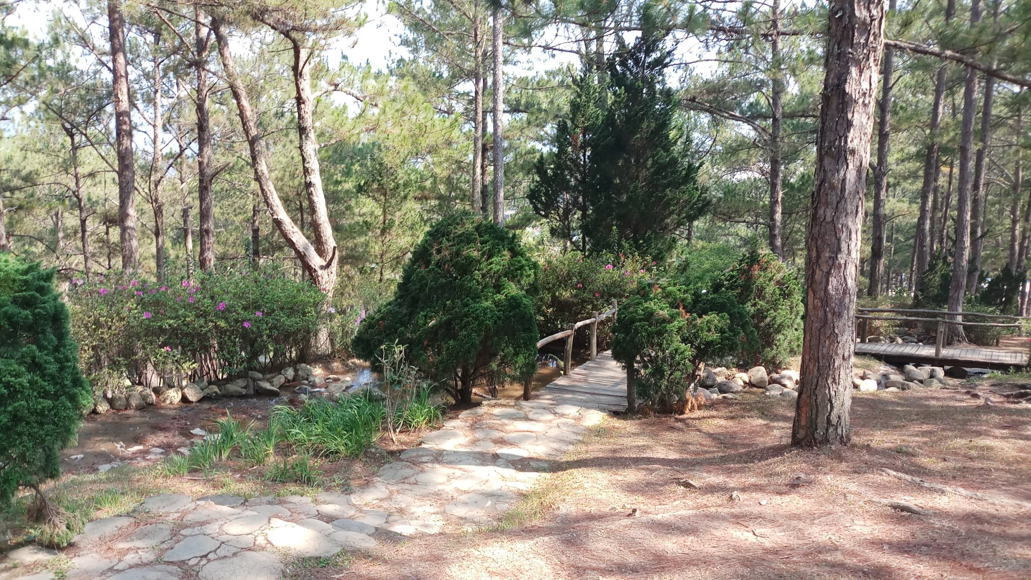 20180327_092541.jpg