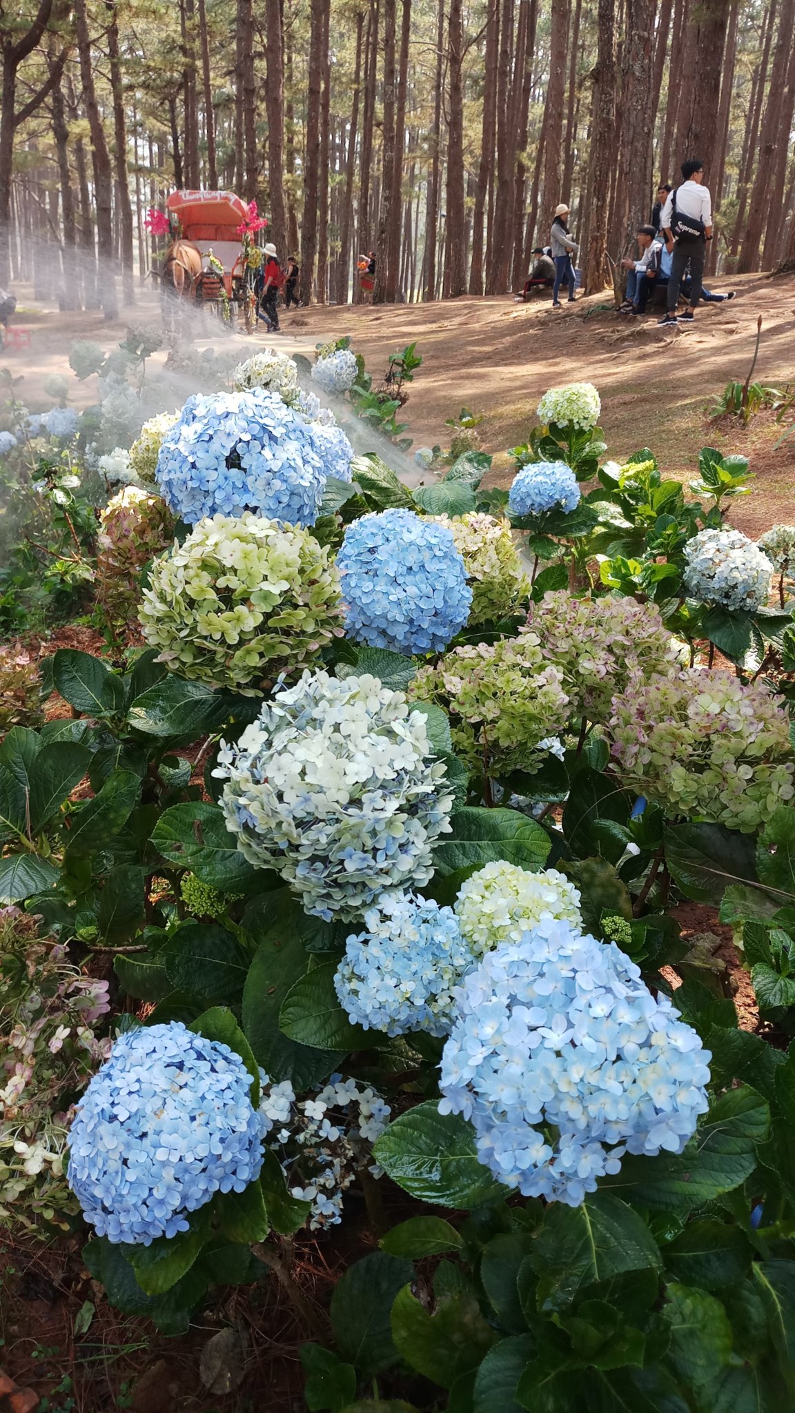20180327_093323.jpg