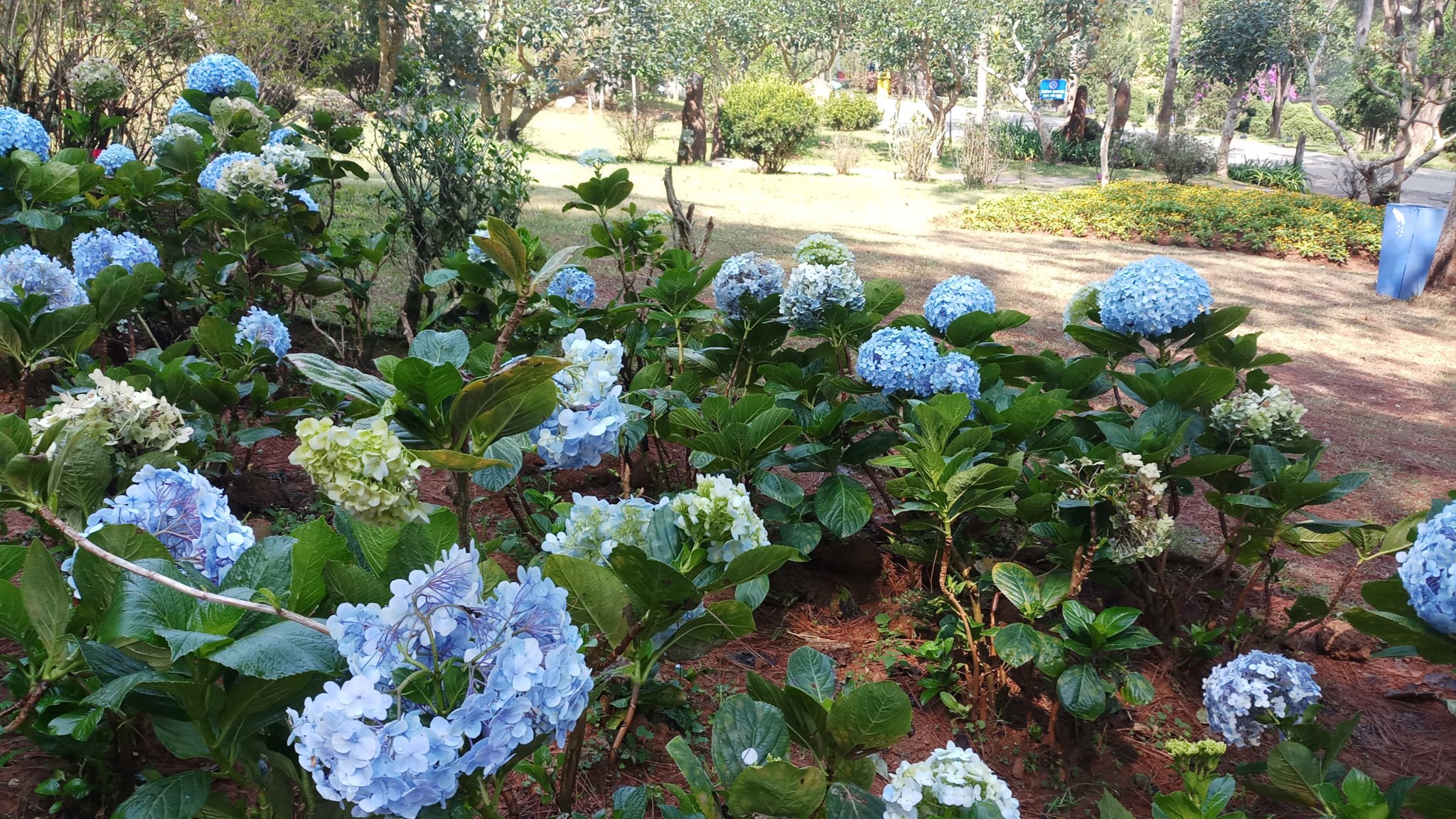 20180327_093329.jpg
