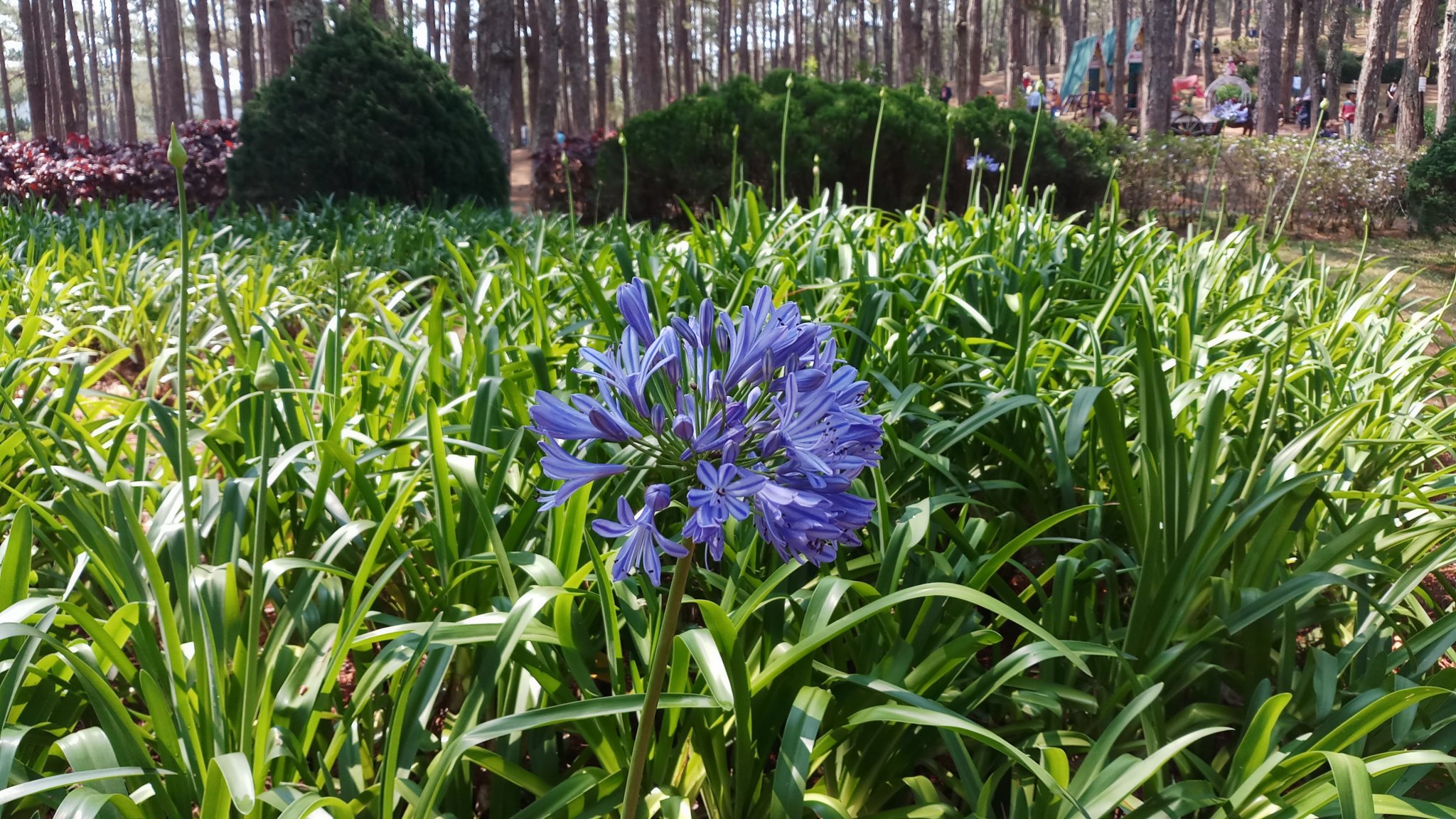 20180327_093456.jpg