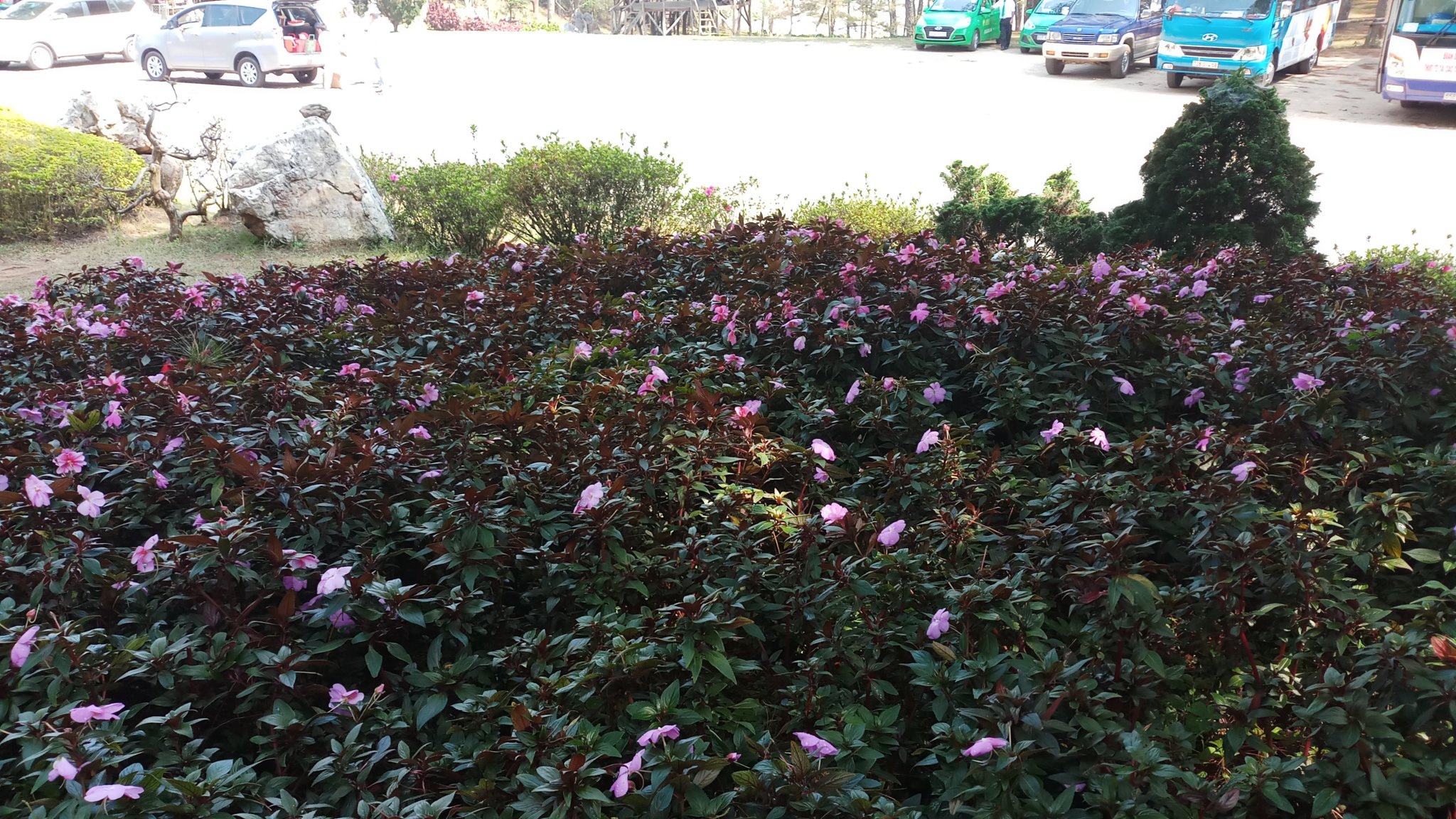 20180327_093509.jpg