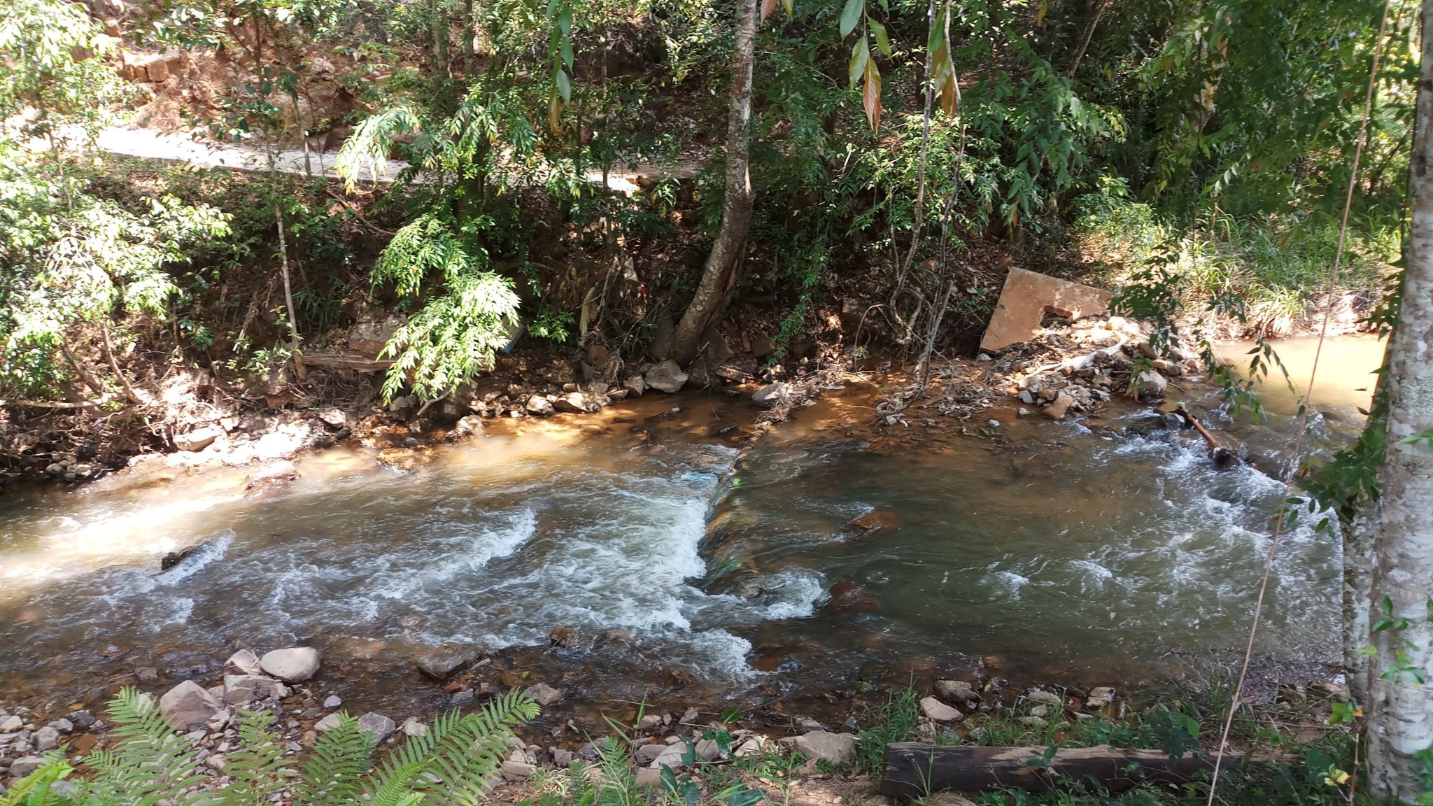 20180327_101917.jpg