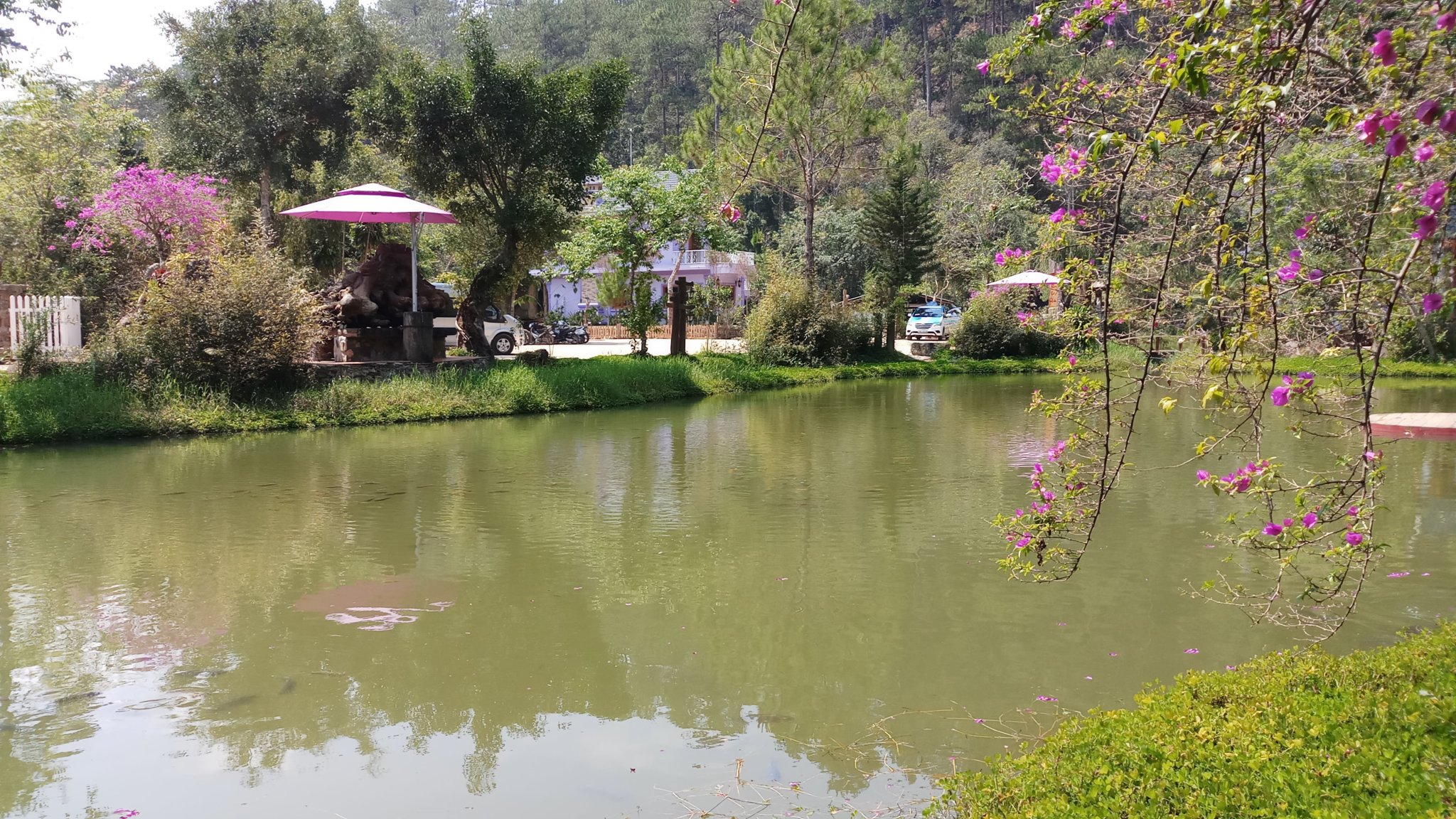 20180327_101927.jpg