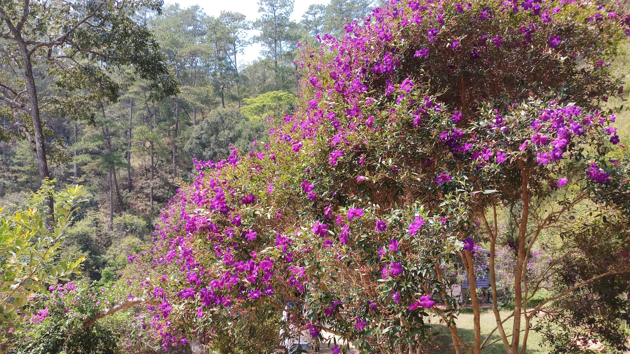 20180327_102133.jpg