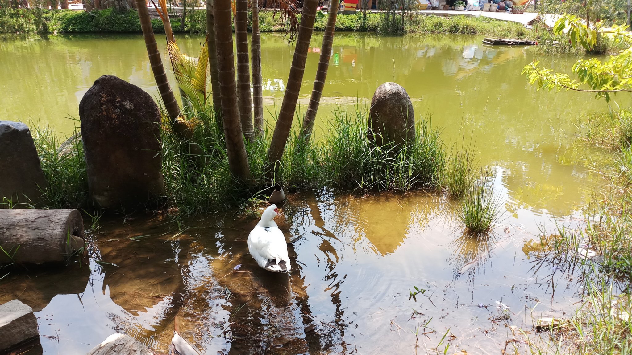 20180327_102754.jpg