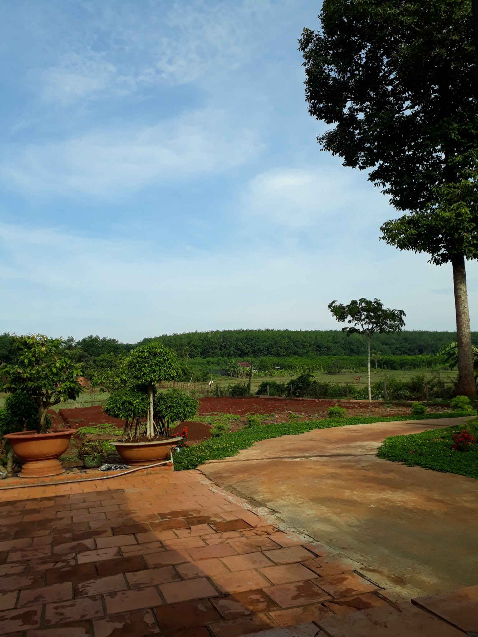 20180430_075205.jpg