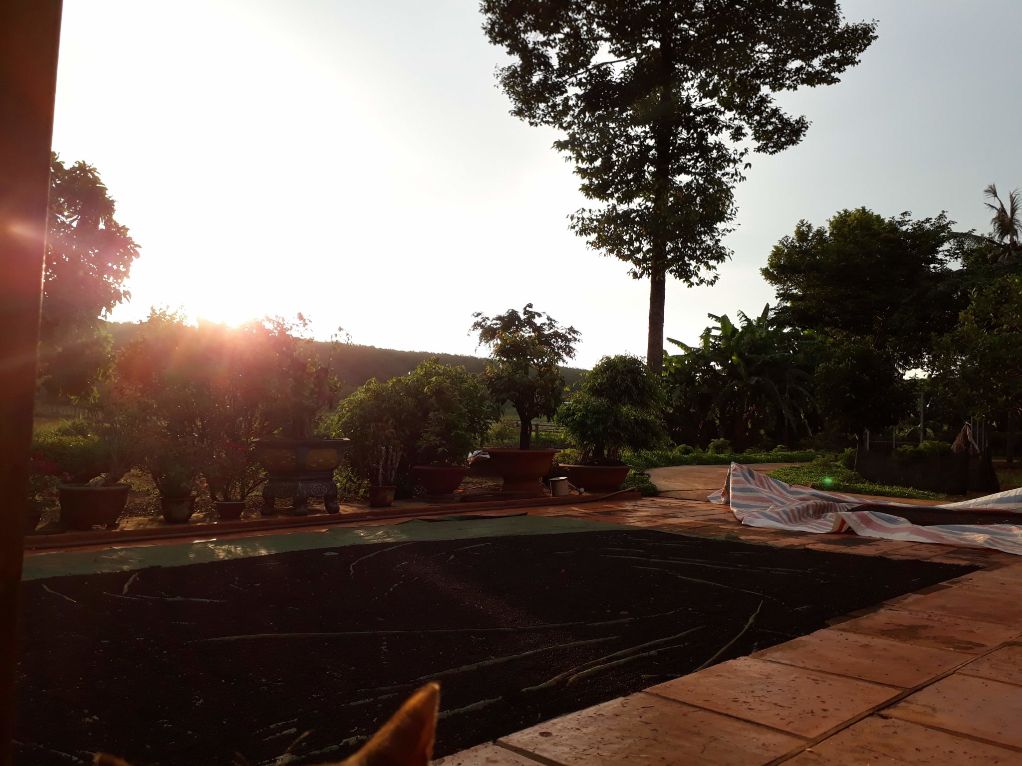 20180601_173818.jpg