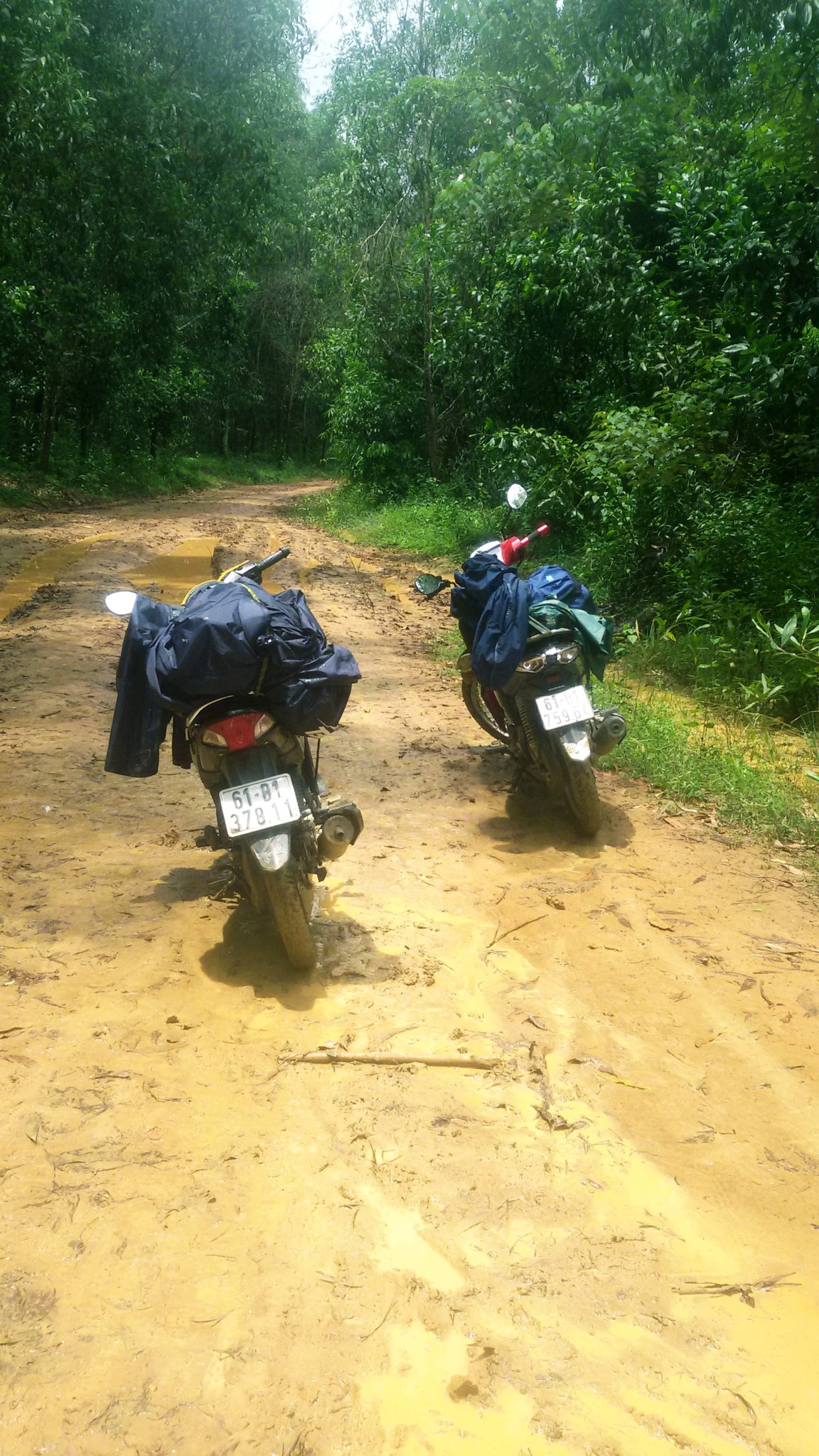 20180915_210346.jpg