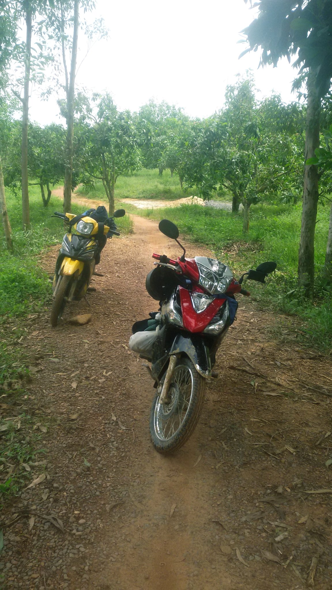 20180915_212236.jpg